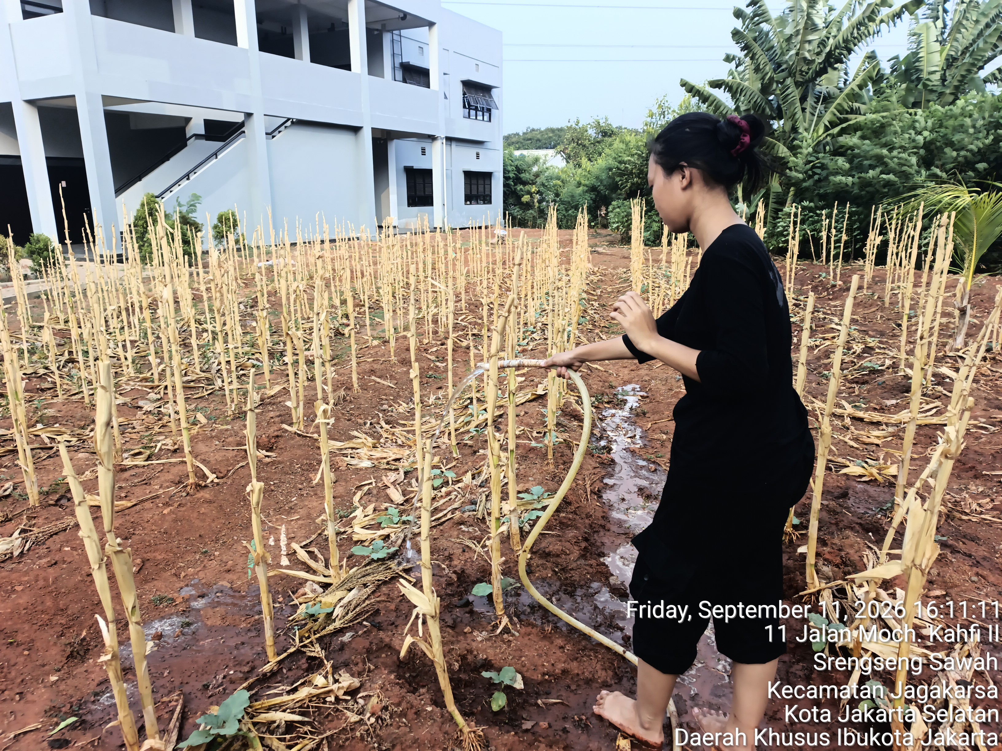 KEBUN SMKN 74 JAGAKARSA JAKARTA SELATAN - Gambar 193