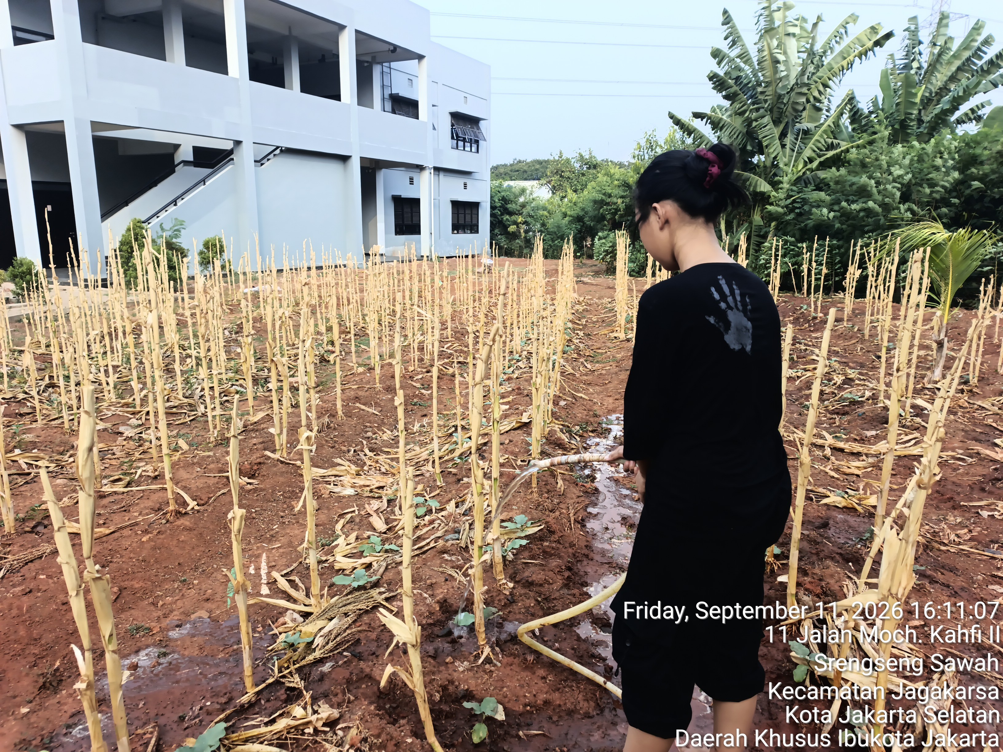 KEBUN SMKN 74 JAGAKARSA JAKARTA SELATAN - Gambar 194