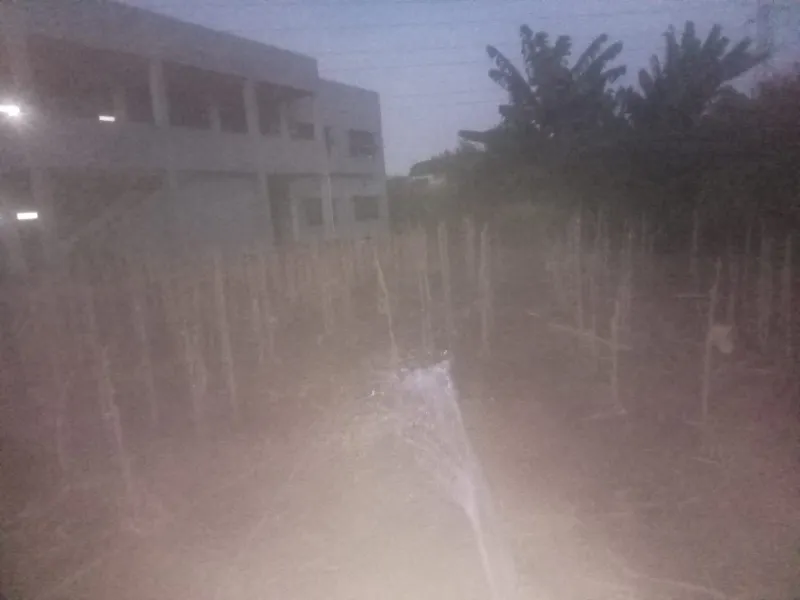 KEBUN SMKN 74 JAGAKARSA JAKARTA SELATAN - Gambar 189