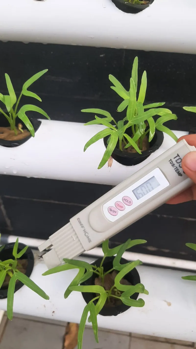 Lahan Urban Farming SMKN 20 Jakarta - Gambar 82