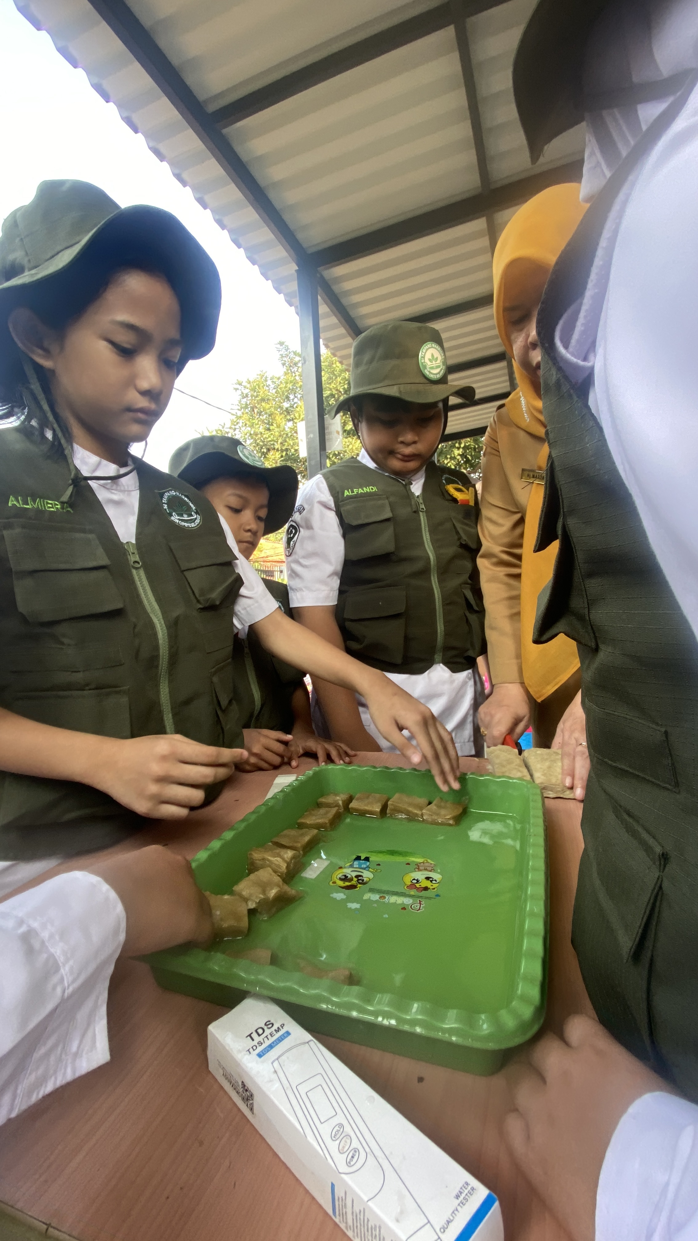 Lahan Urban Farming SDN Cipete Selatan 03 - Gambar 85