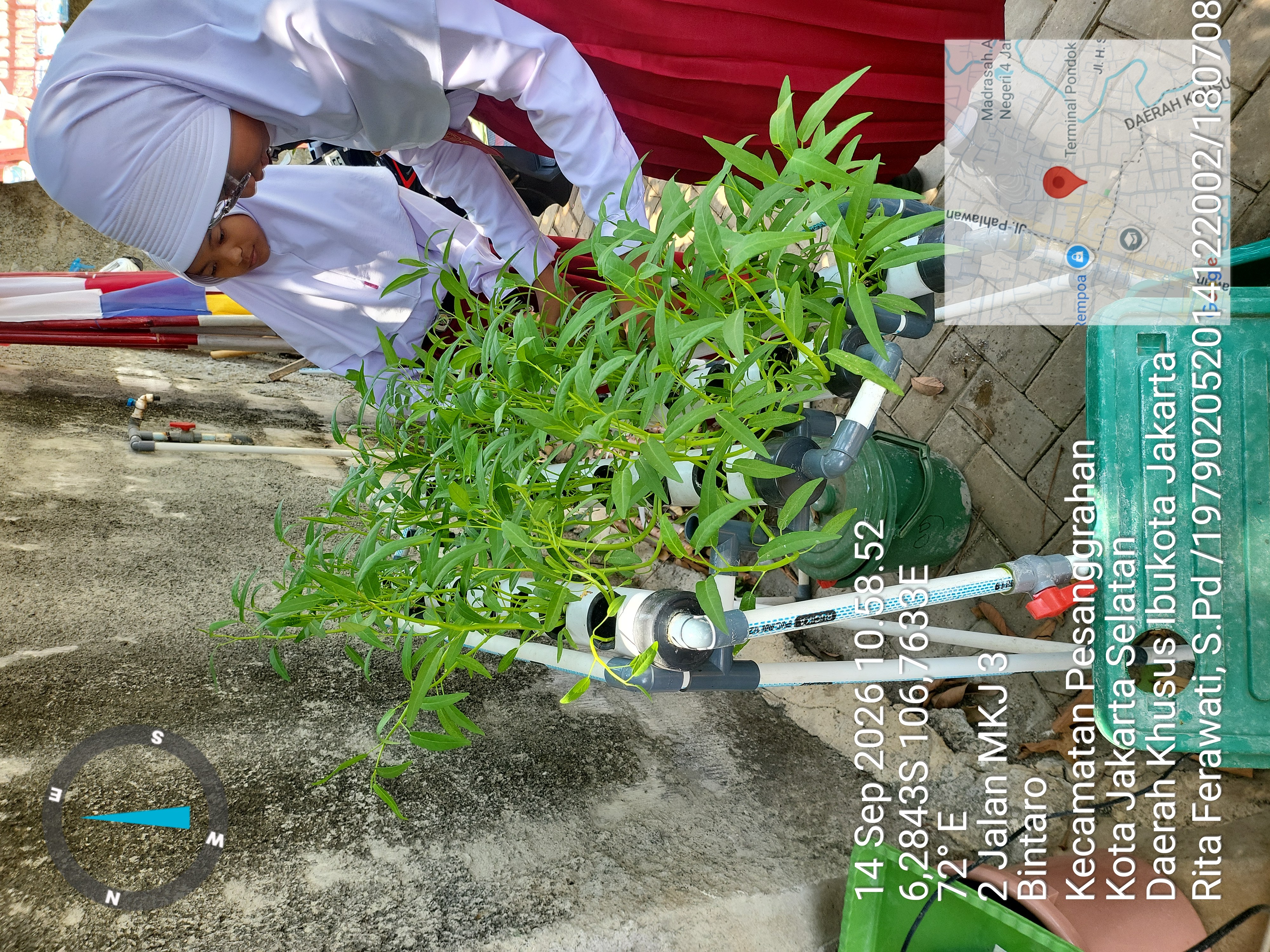 Lahan Urban Farming SDN Bintaro 09 - Gambar 105