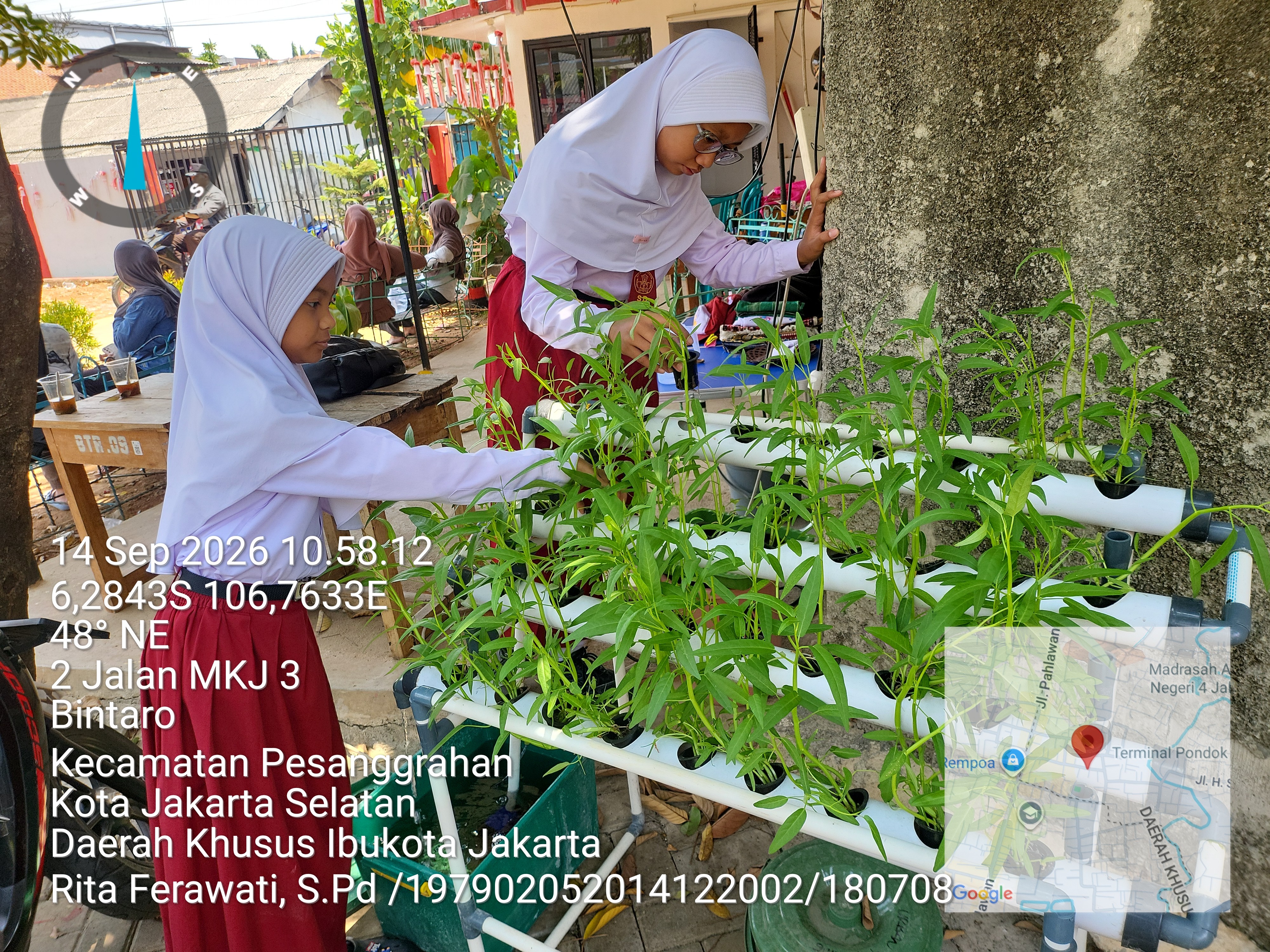 Lahan Urban Farming SDN Bintaro 09 - Gambar 107