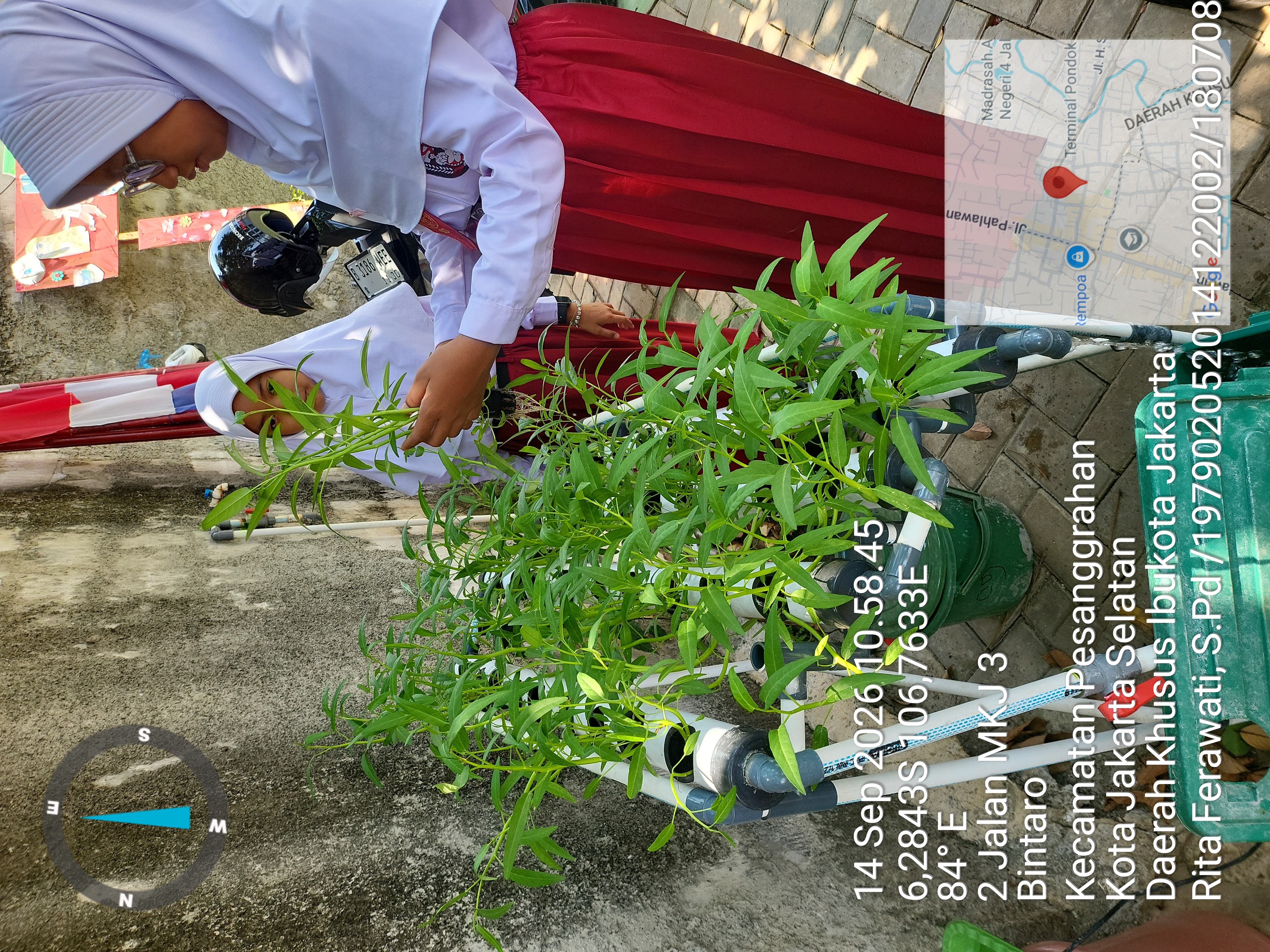 Lahan Urban Farming SDN Bintaro 09 - Gambar 106