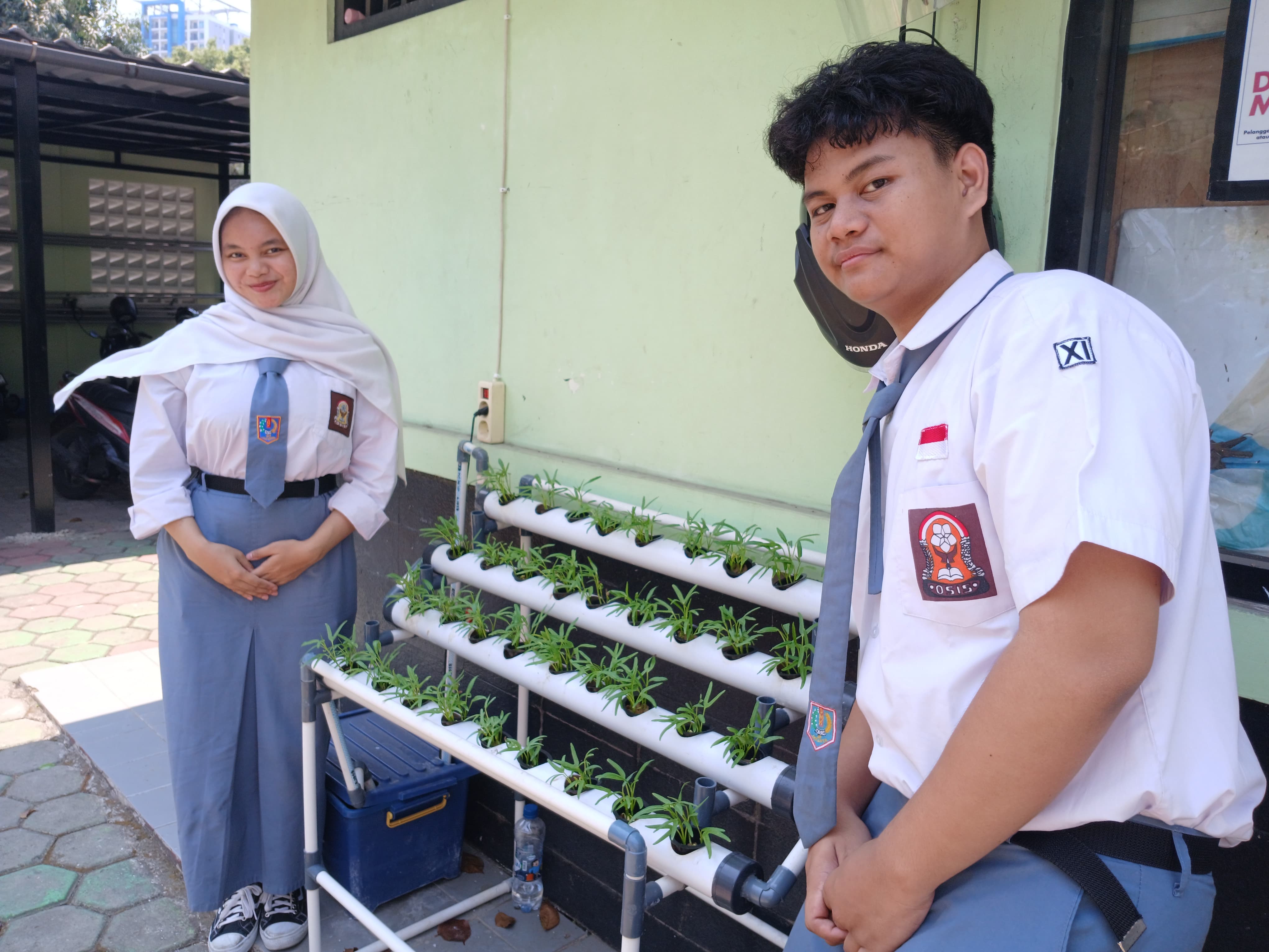 Lahan Urban Farming SMKN 20 Jakarta - Gambar 77