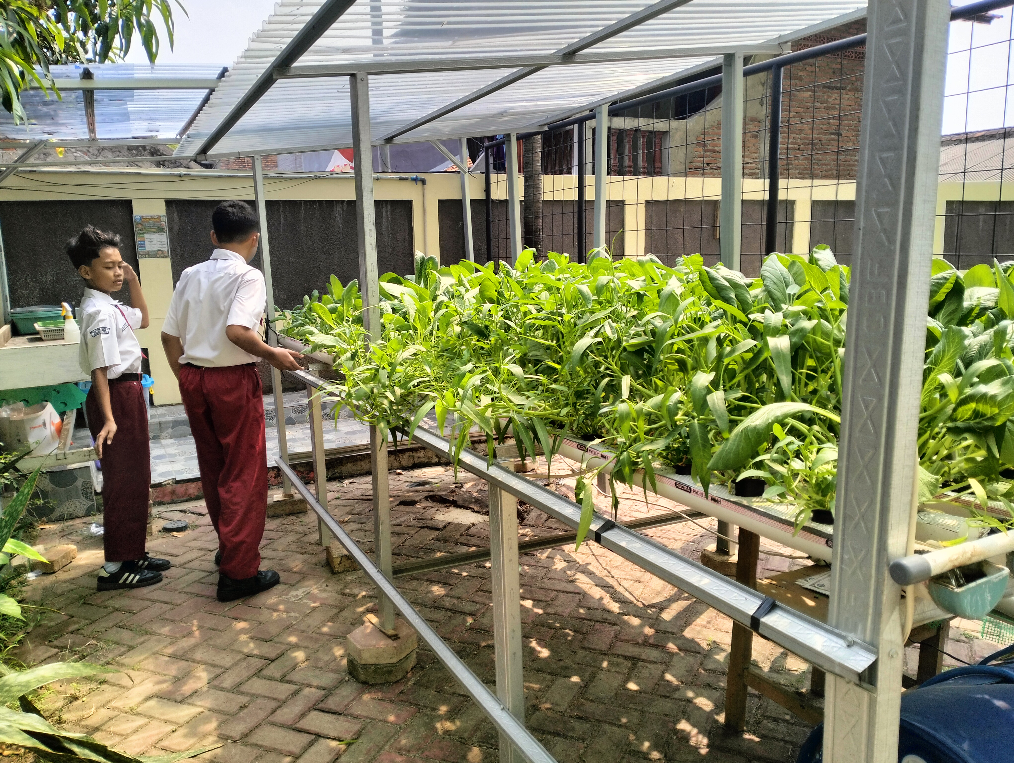 Lahan Urban Farming SDN Lenteng Agung 07 Jakarta - Gambar 71