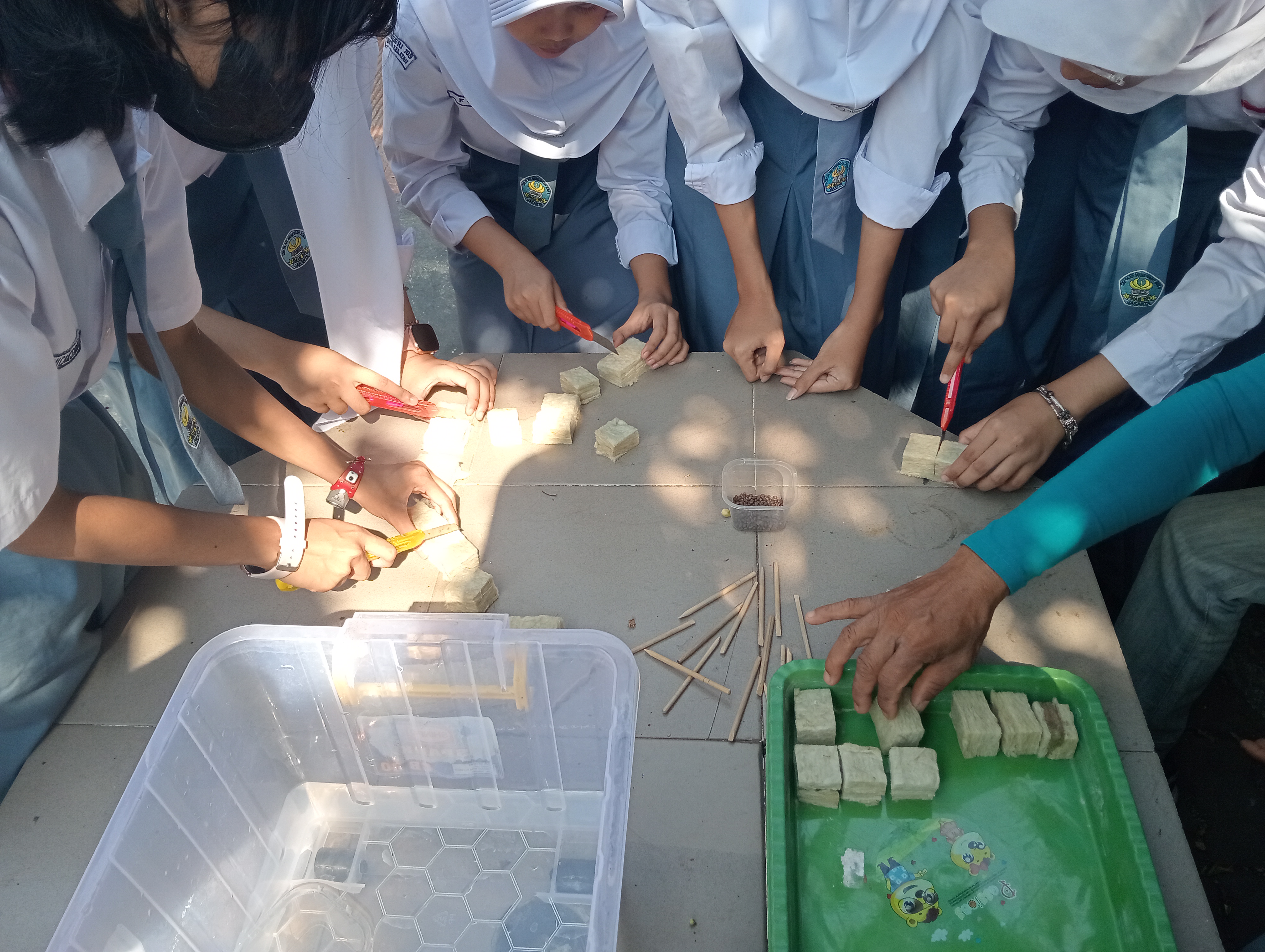 Lahan Urban Farming SMAN 109 Jakarta - Gambar 172