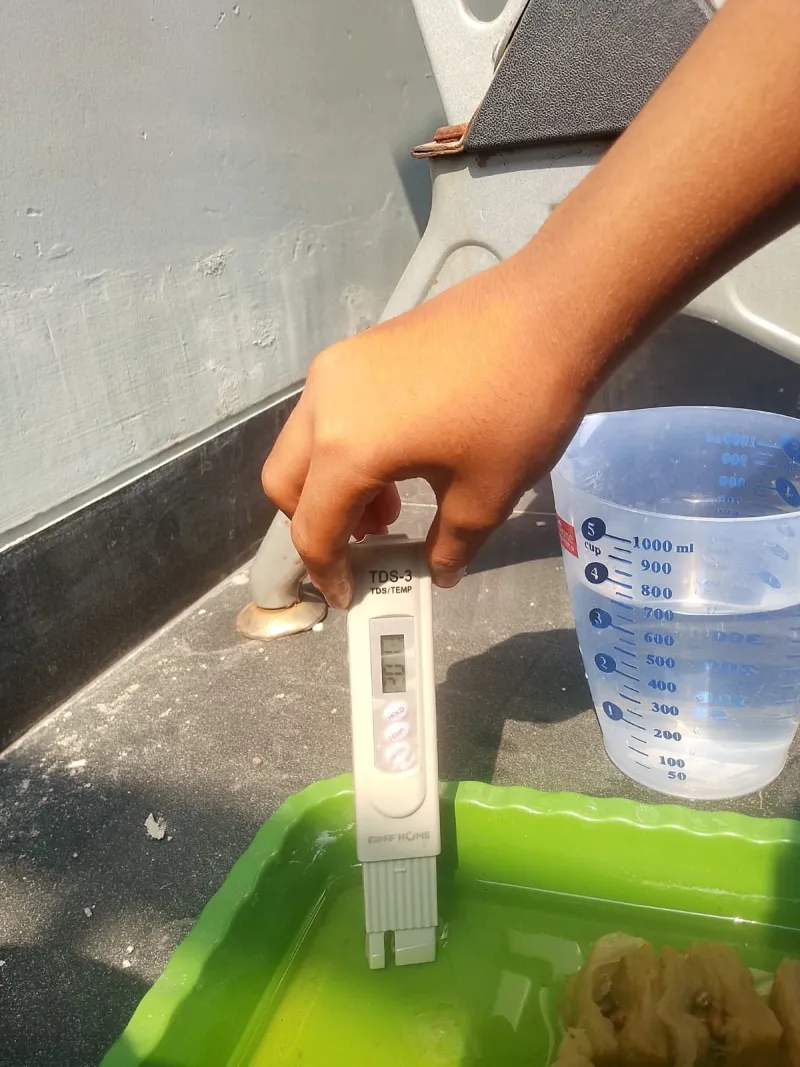 Lahan Urban Farming SDN Cipete Selatan 03 - Gambar 80