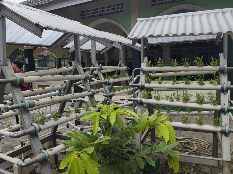 Lahan Urban Farming SMKN 59 Jakarta - Gambar 154