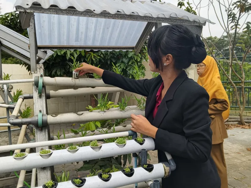 Lahan Urban Farming SMKN 59 Jakarta - Gambar 153