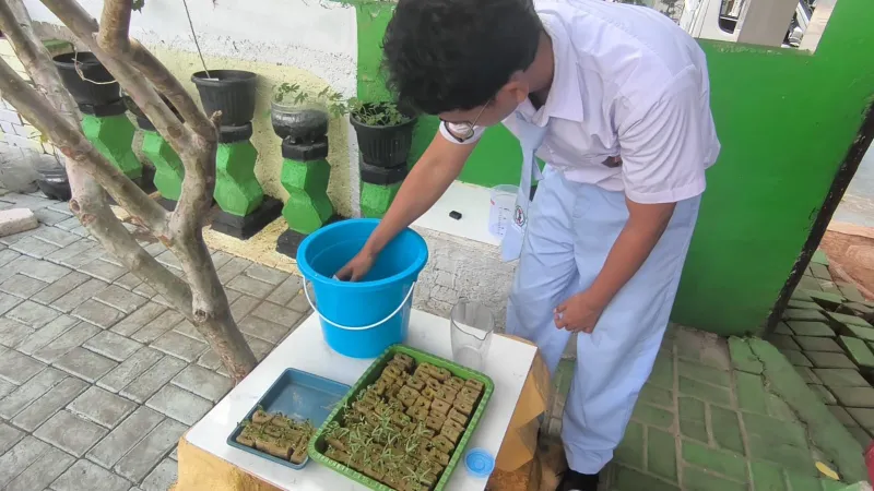 Lahan Urban Farming SMKN 43 Jakarta - Gambar 136