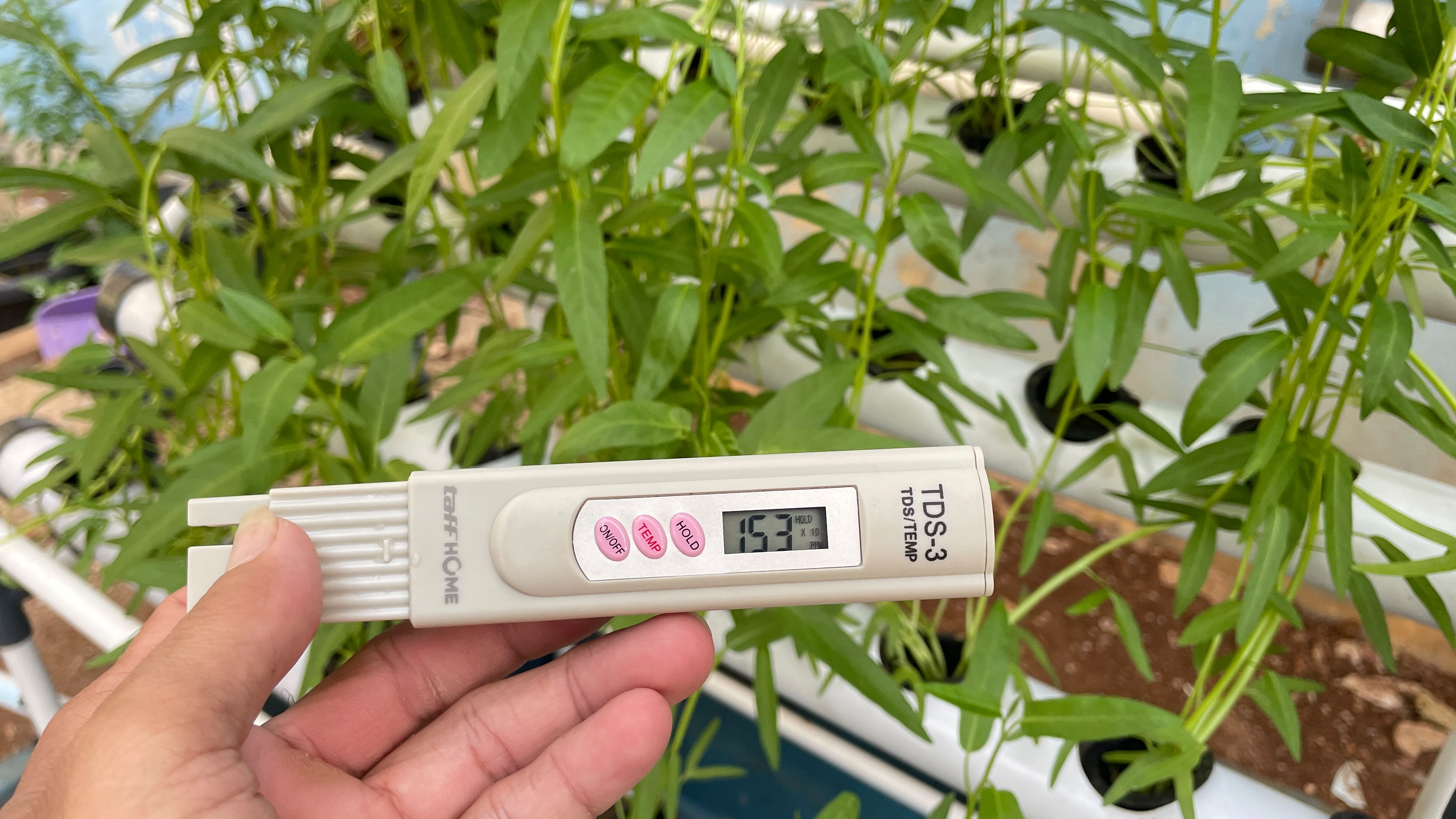 Lahan Urban Farming SLBN 01 Lebak Bulus - Gambar 42