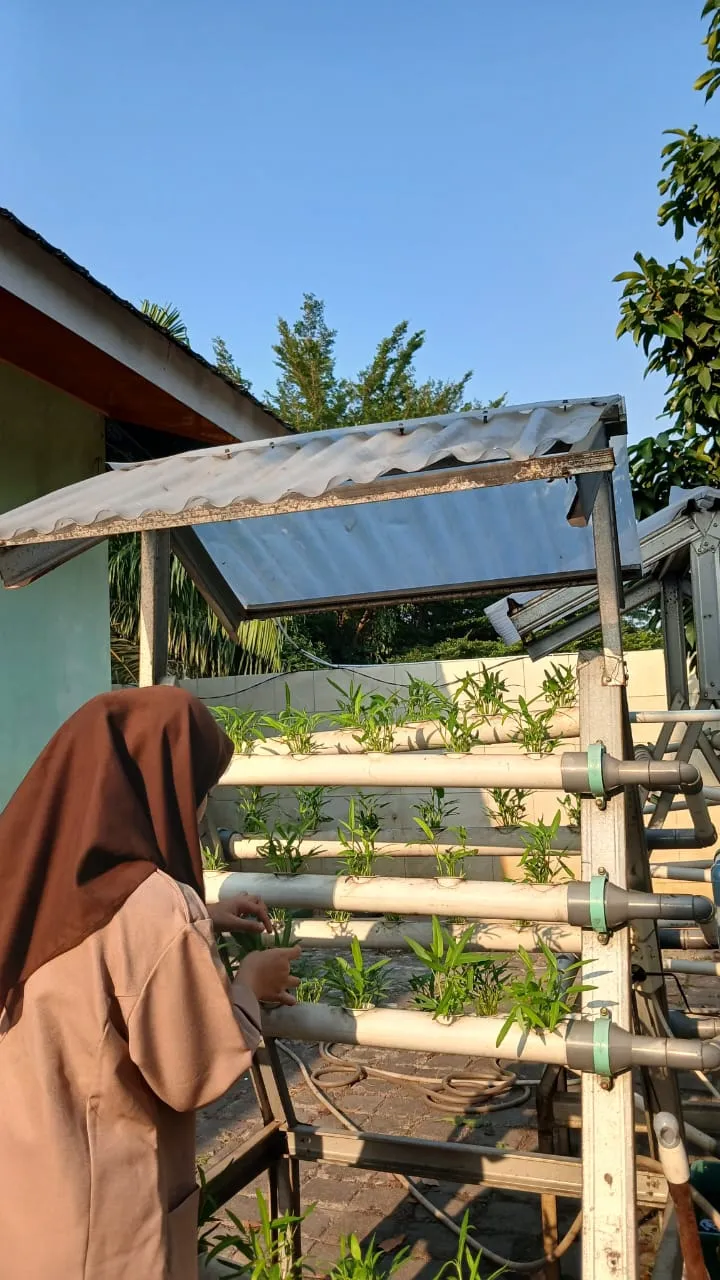 Lahan Urban Farming SMKN 59 Jakarta - Gambar 151