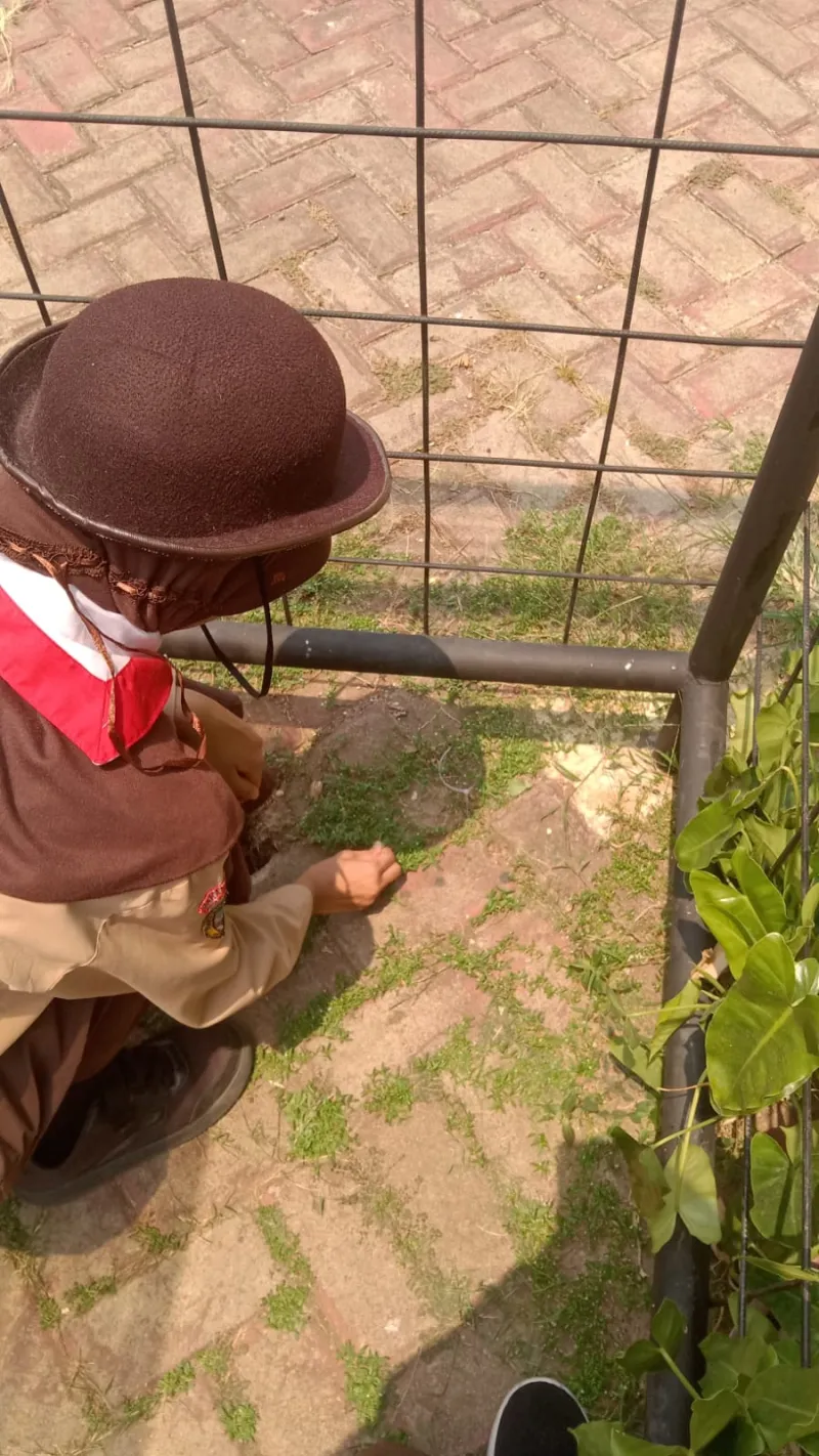 Lahan Urban Farming SDN Lenteng Agung 07 Jakarta - Gambar 70