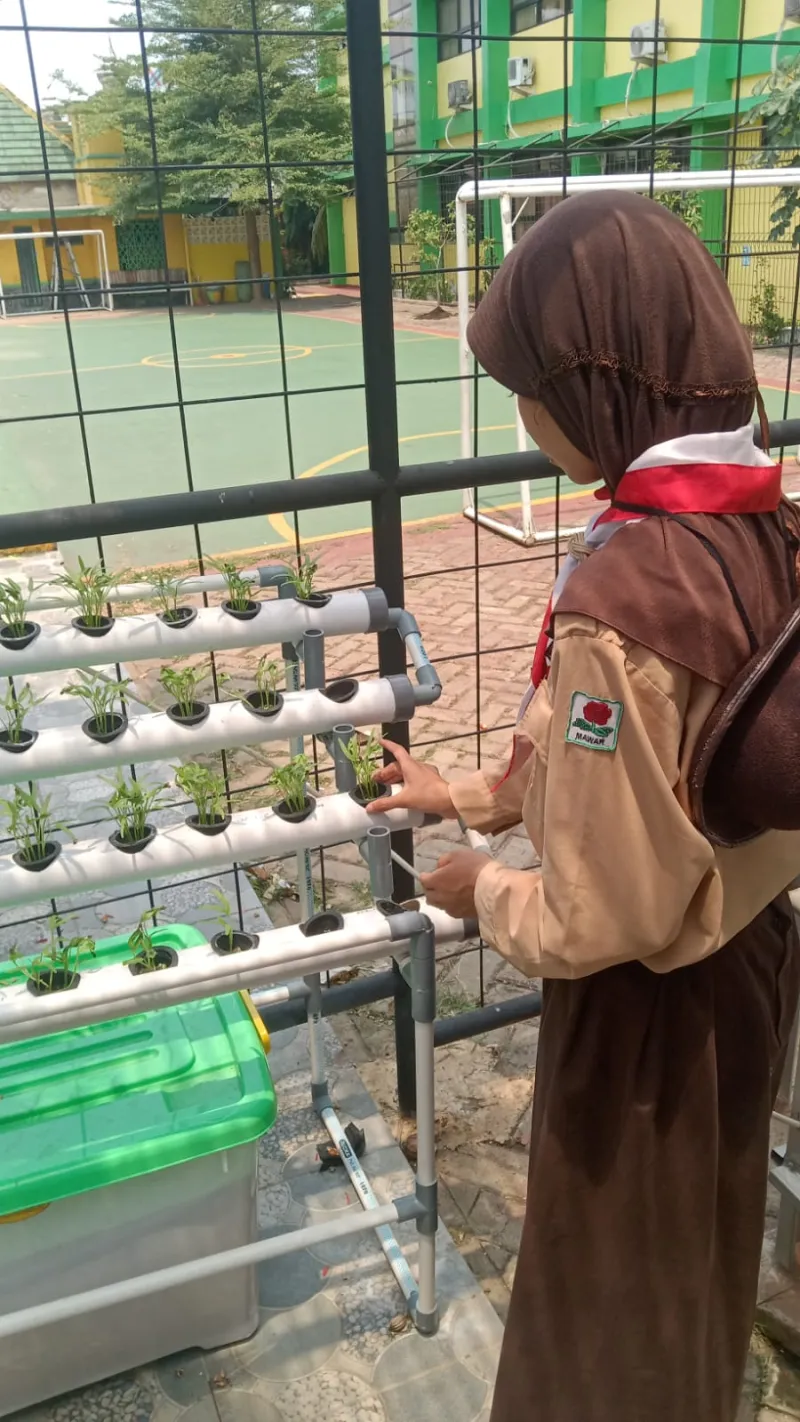 Lahan Urban Farming SDN Lenteng Agung 07 Jakarta - Gambar 69