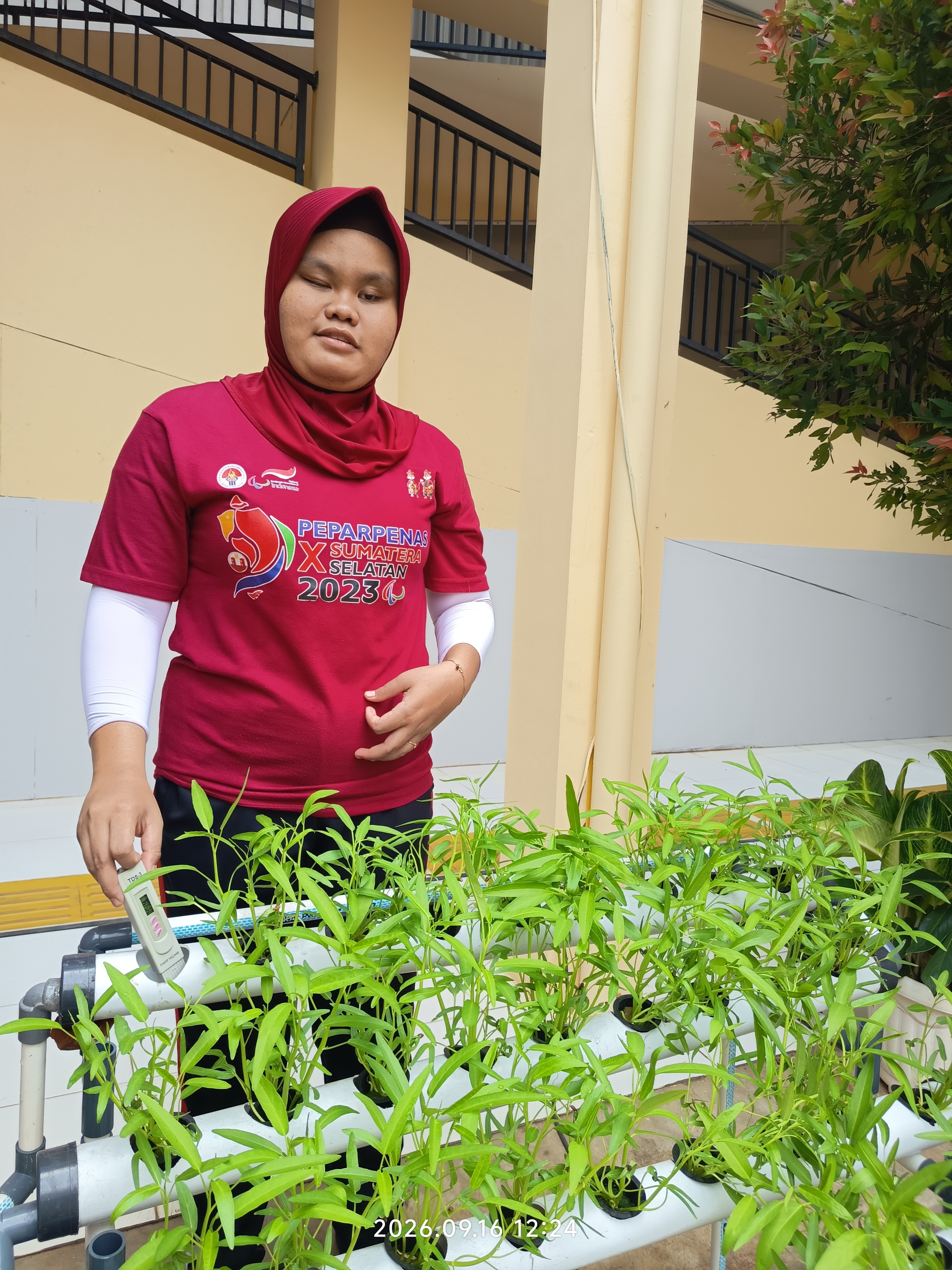 Lahan Urban Farming SLB A Pembina Tingkat Nasional - Gambar 76