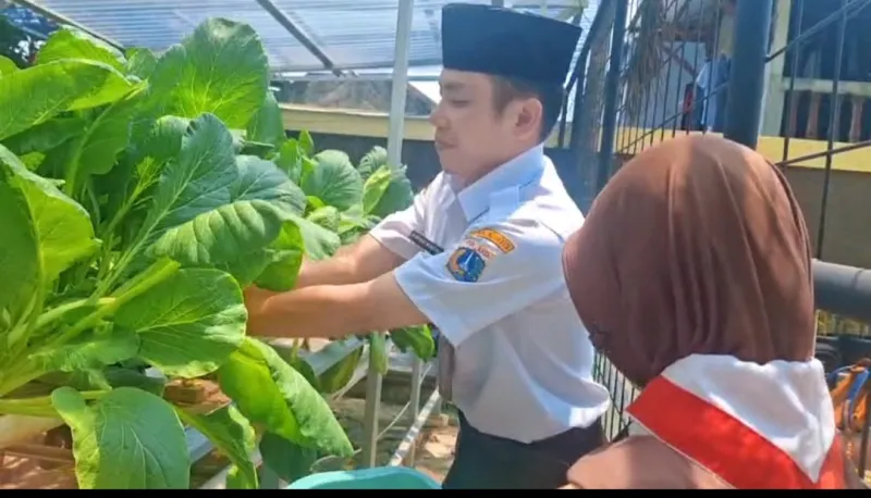 Lahan Urban Farming SDN Lenteng Agung 07 Jakarta - Gambar 67
