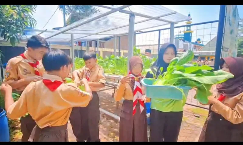 Lahan Urban Farming SDN Lenteng Agung 07 Jakarta - Gambar 68