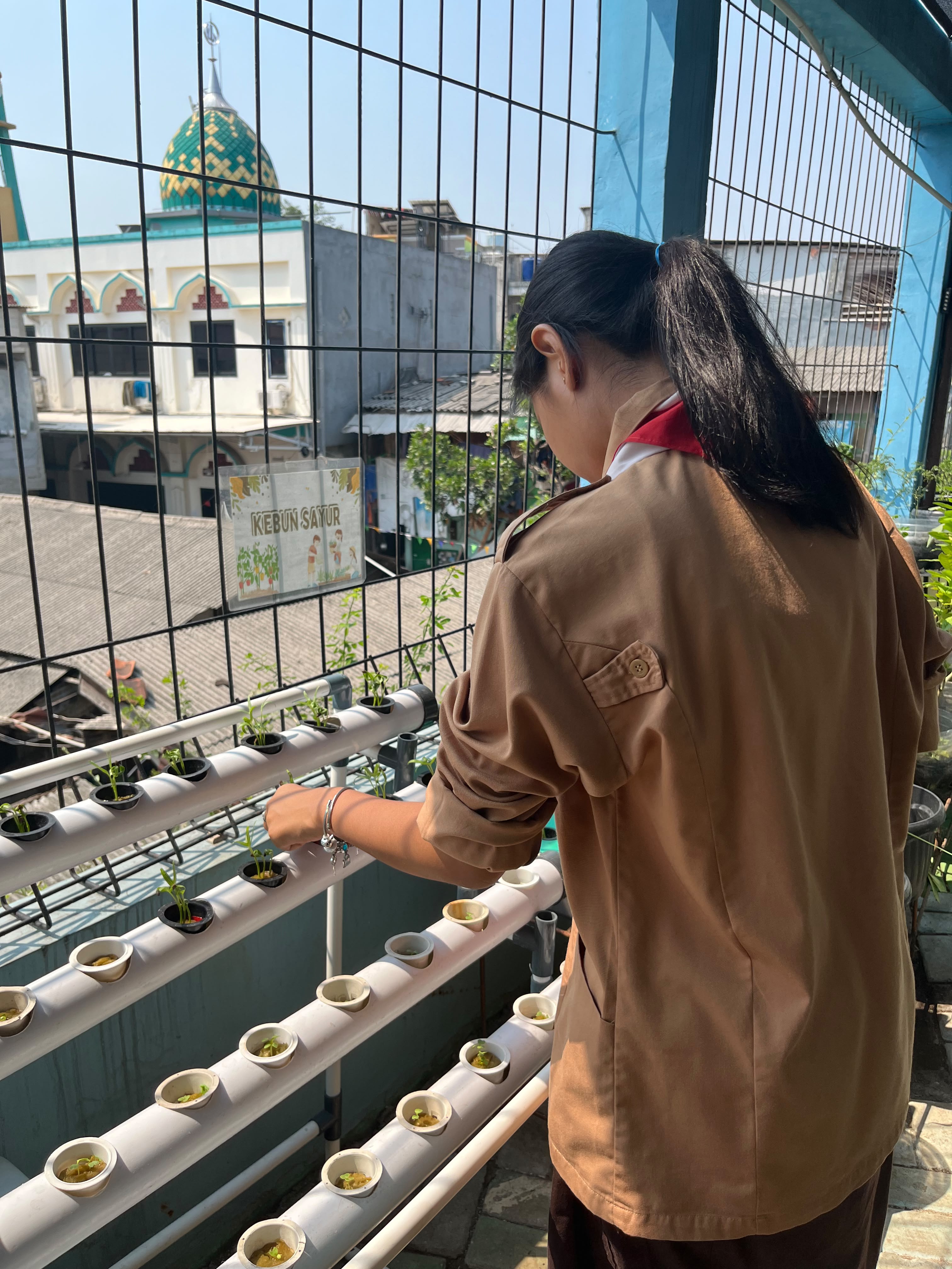 Lahan Urban Farming SMKN 43 Jakarta - Gambar 135