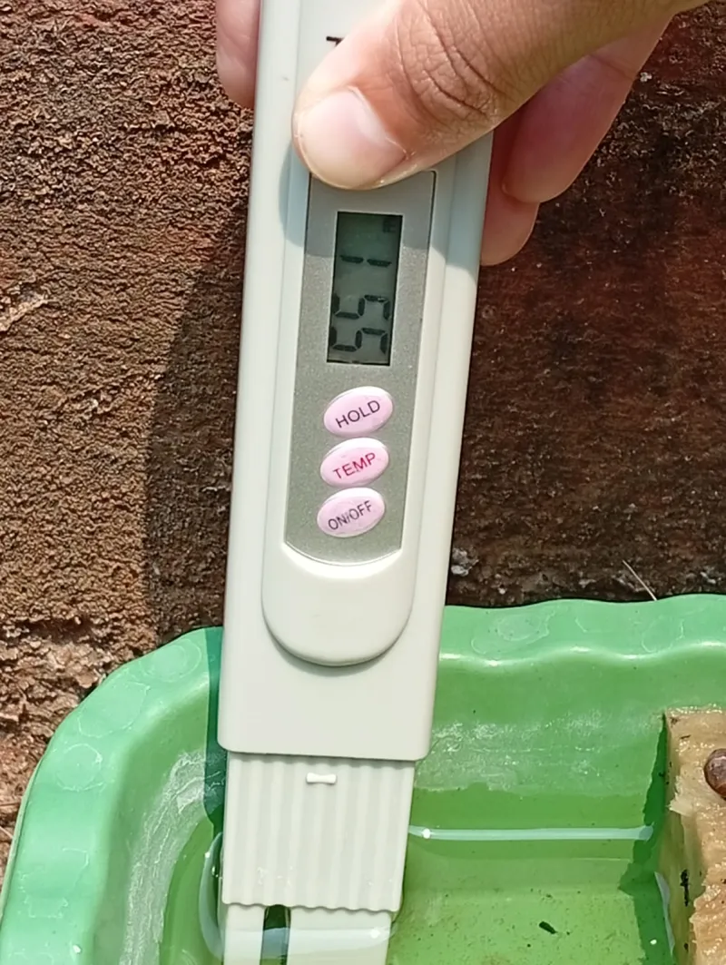 Lahan Urban Farming SMAN 109 Jakarta - Gambar 156