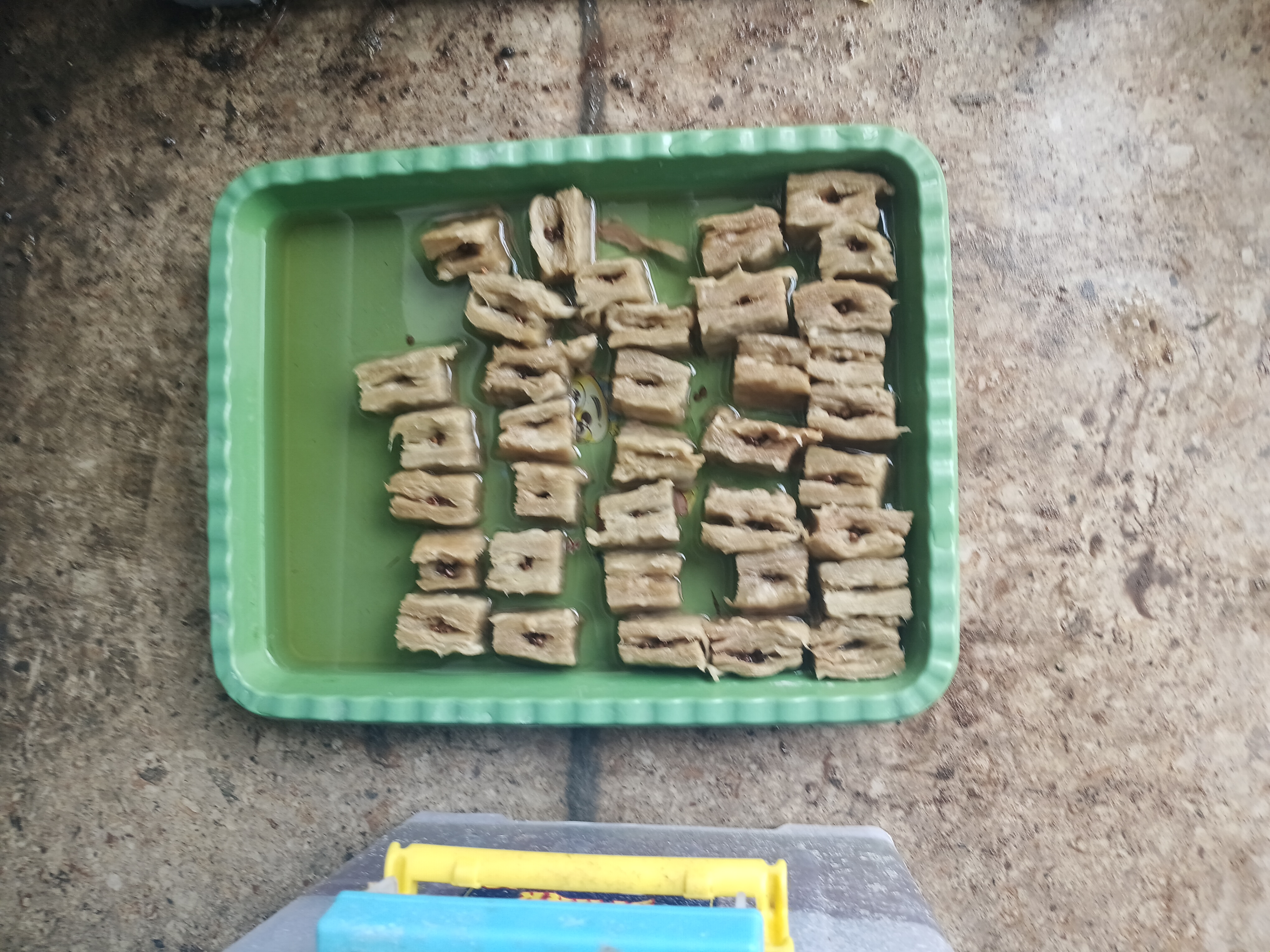 Lahan Urban Farming SMKN 41 Jakarta - Gambar 36