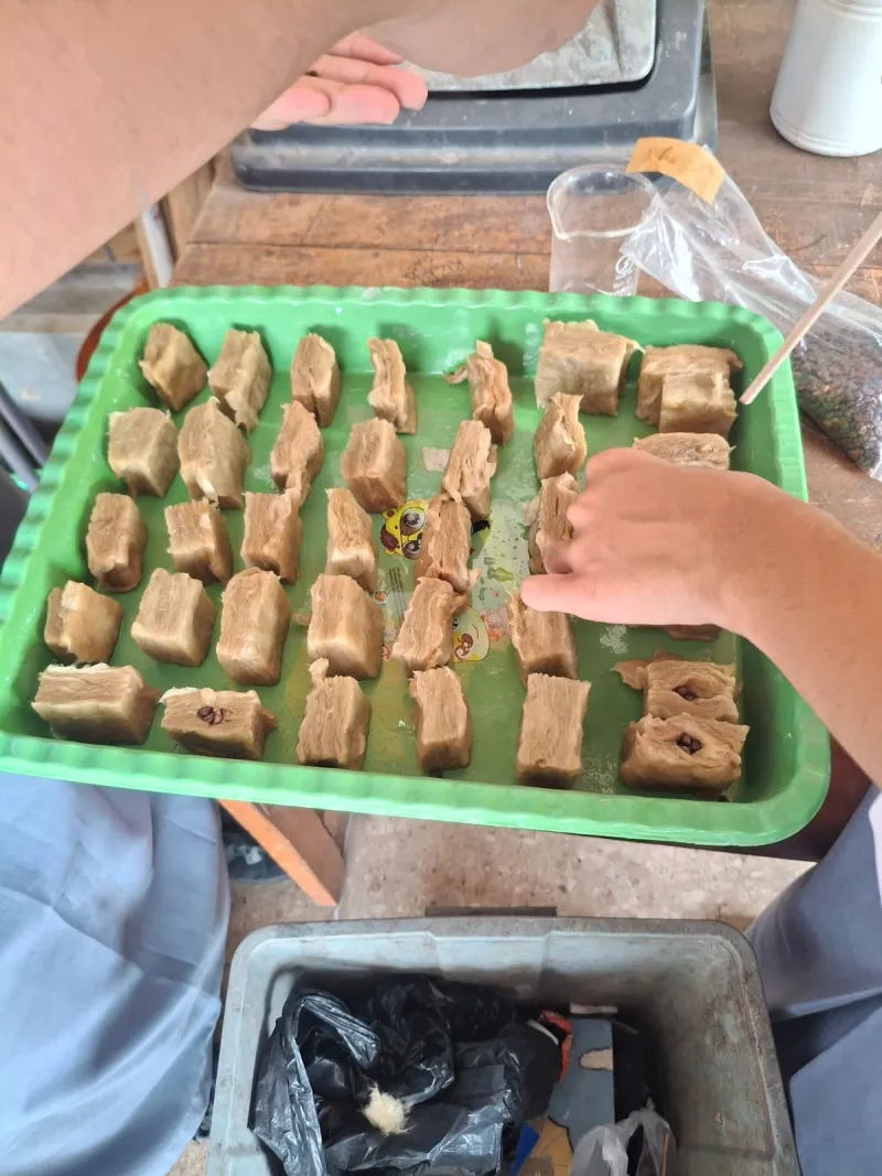 Lahan Urban Farming SMKN 41 Jakarta - Gambar 33