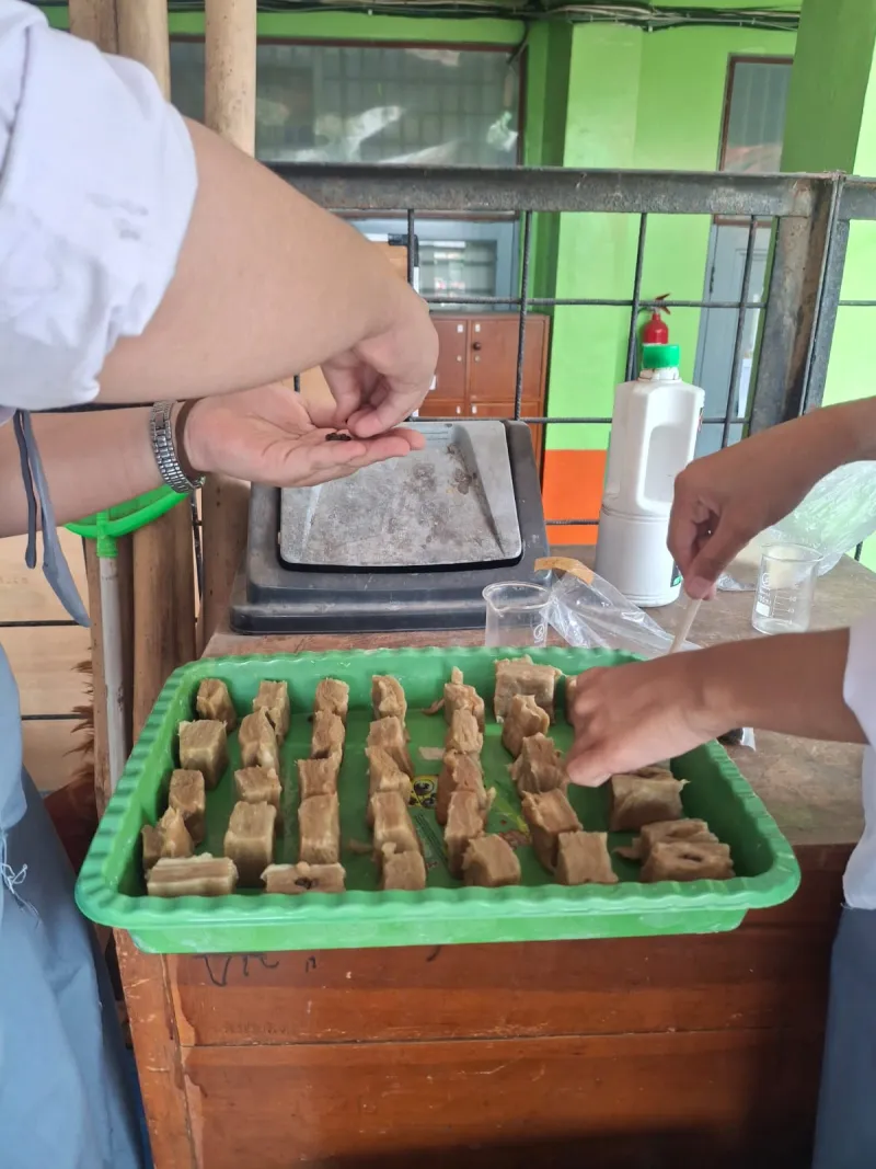 Lahan Urban Farming SMKN 41 Jakarta - Gambar 34