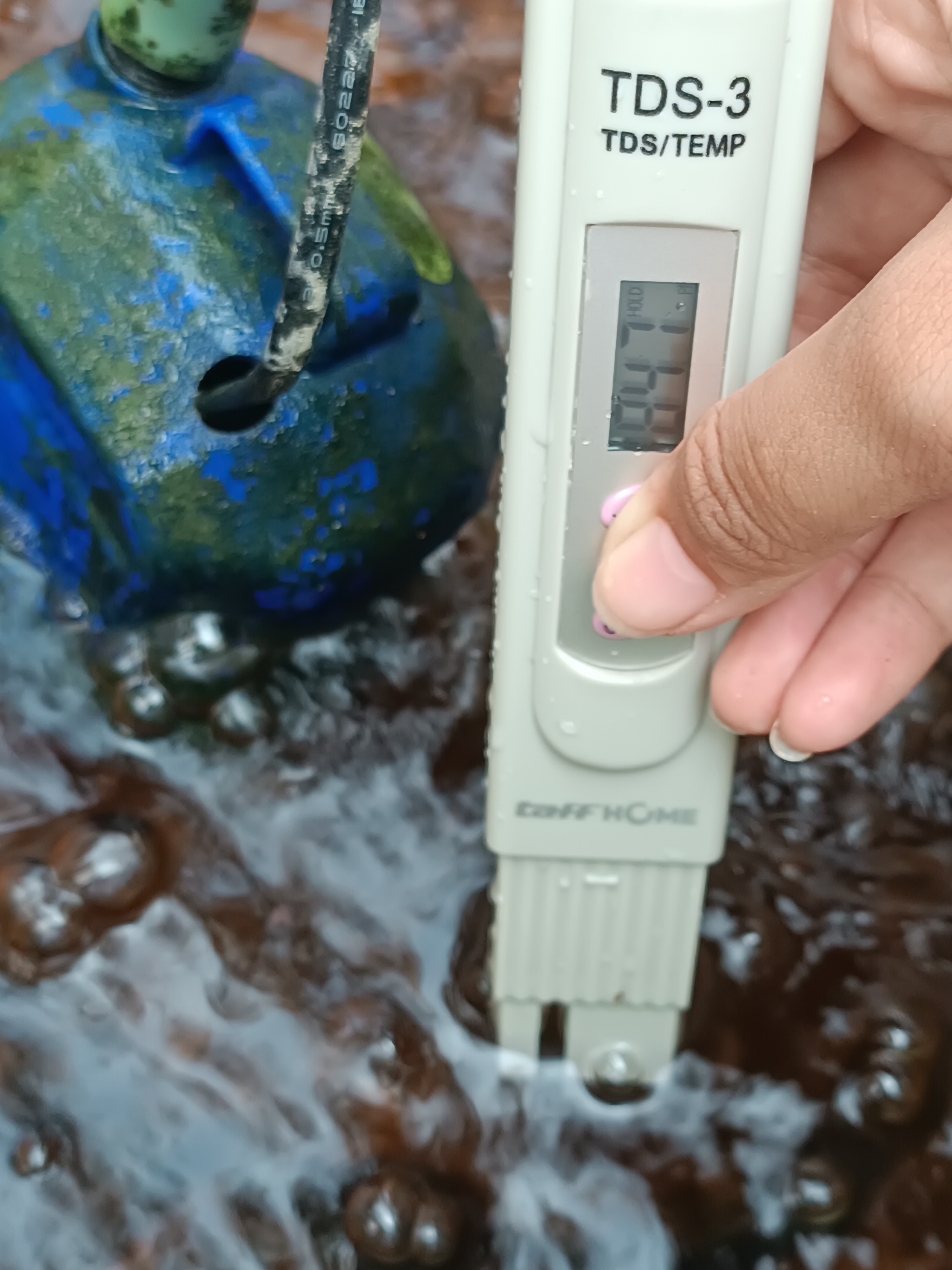 Lahan Urban Farming SMKN 59 Jakarta - Gambar 138