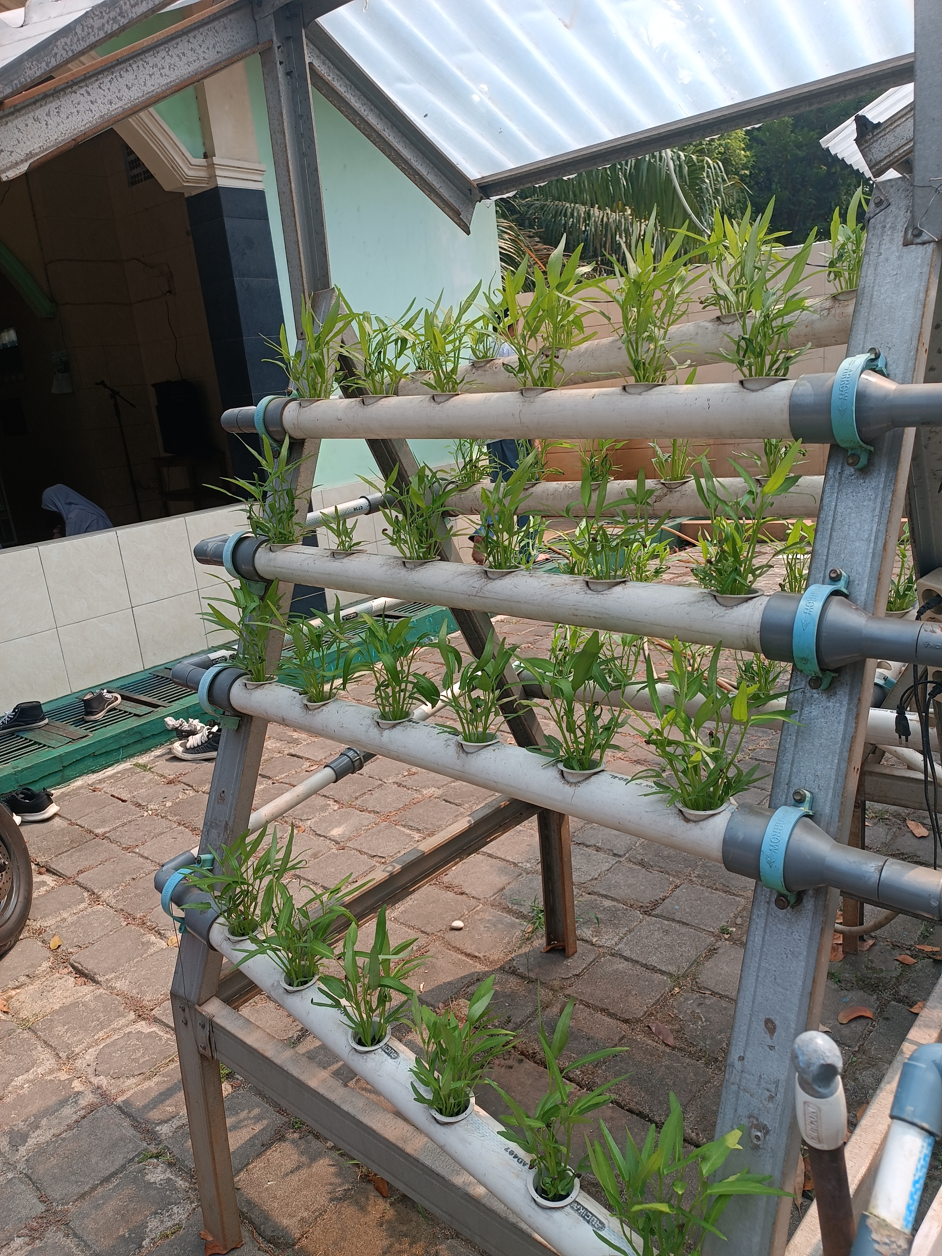 Lahan Urban Farming SMKN 59 Jakarta - Gambar 140