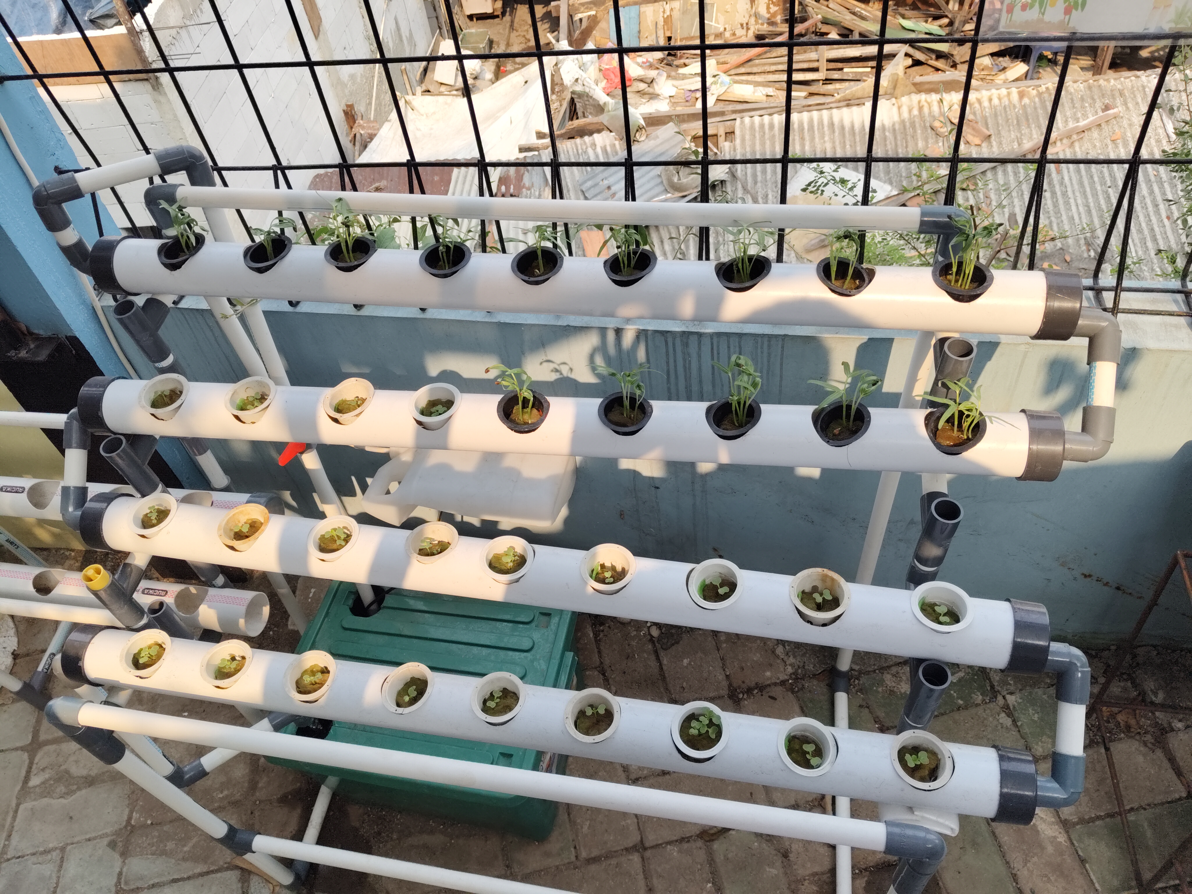 Lahan Urban Farming SMKN 43 Jakarta - Gambar 127