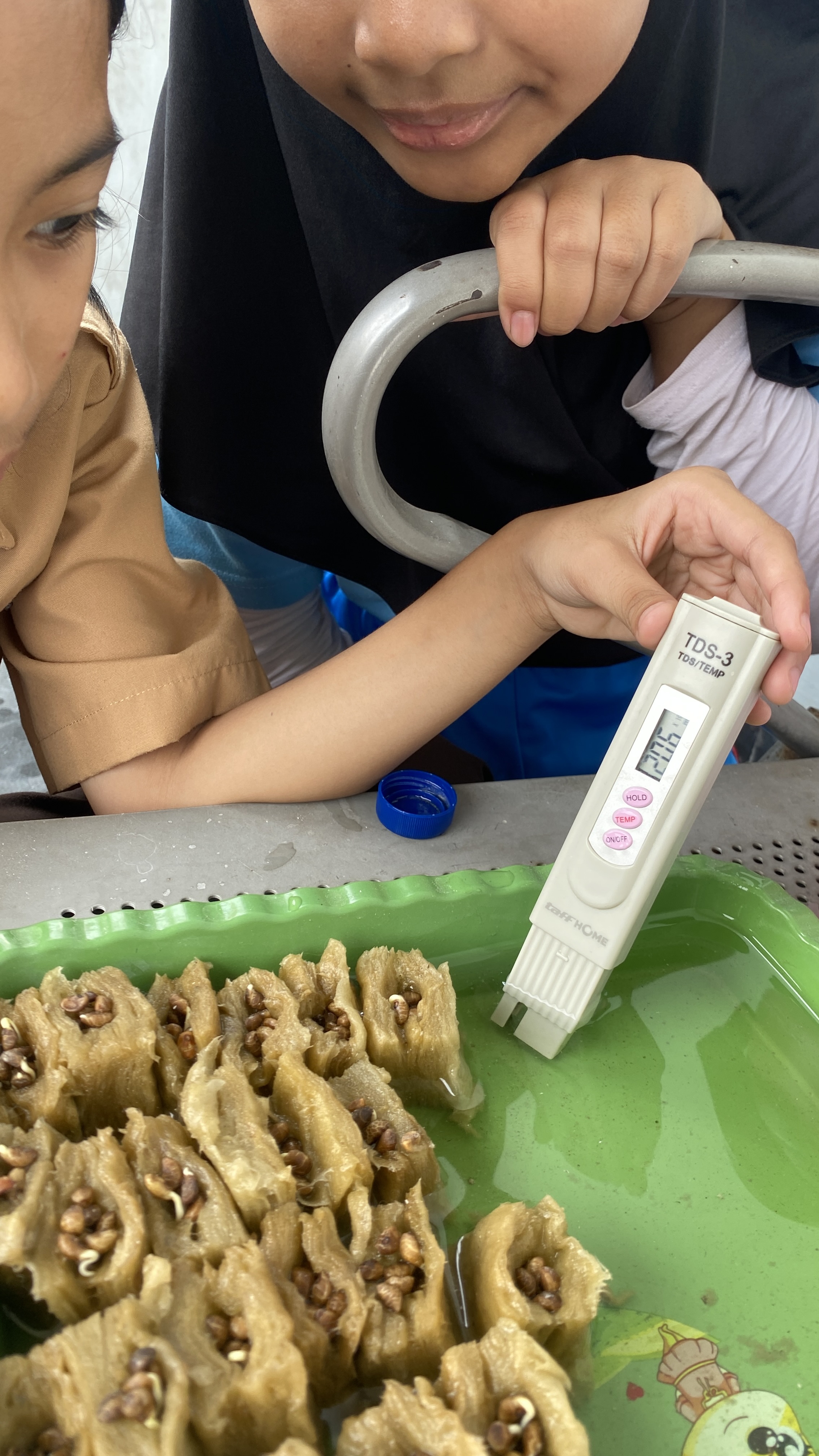 Lahan Urban Farming SDN Cipete Selatan 03 - Gambar 76