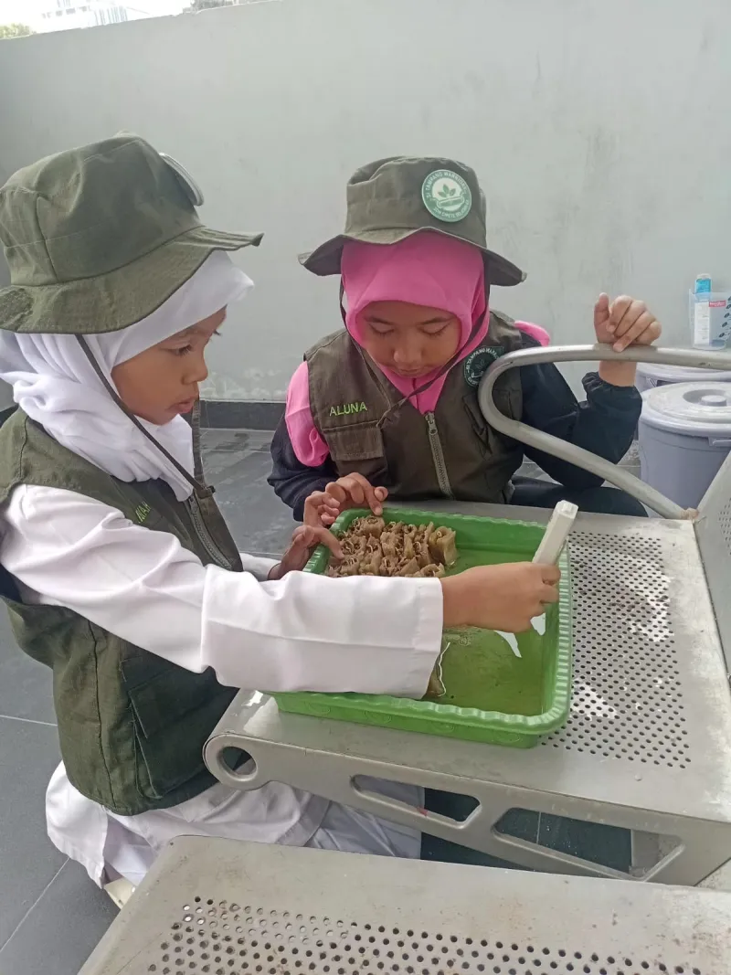 Lahan Urban Farming SDN Cipete Selatan 03 - Gambar 75