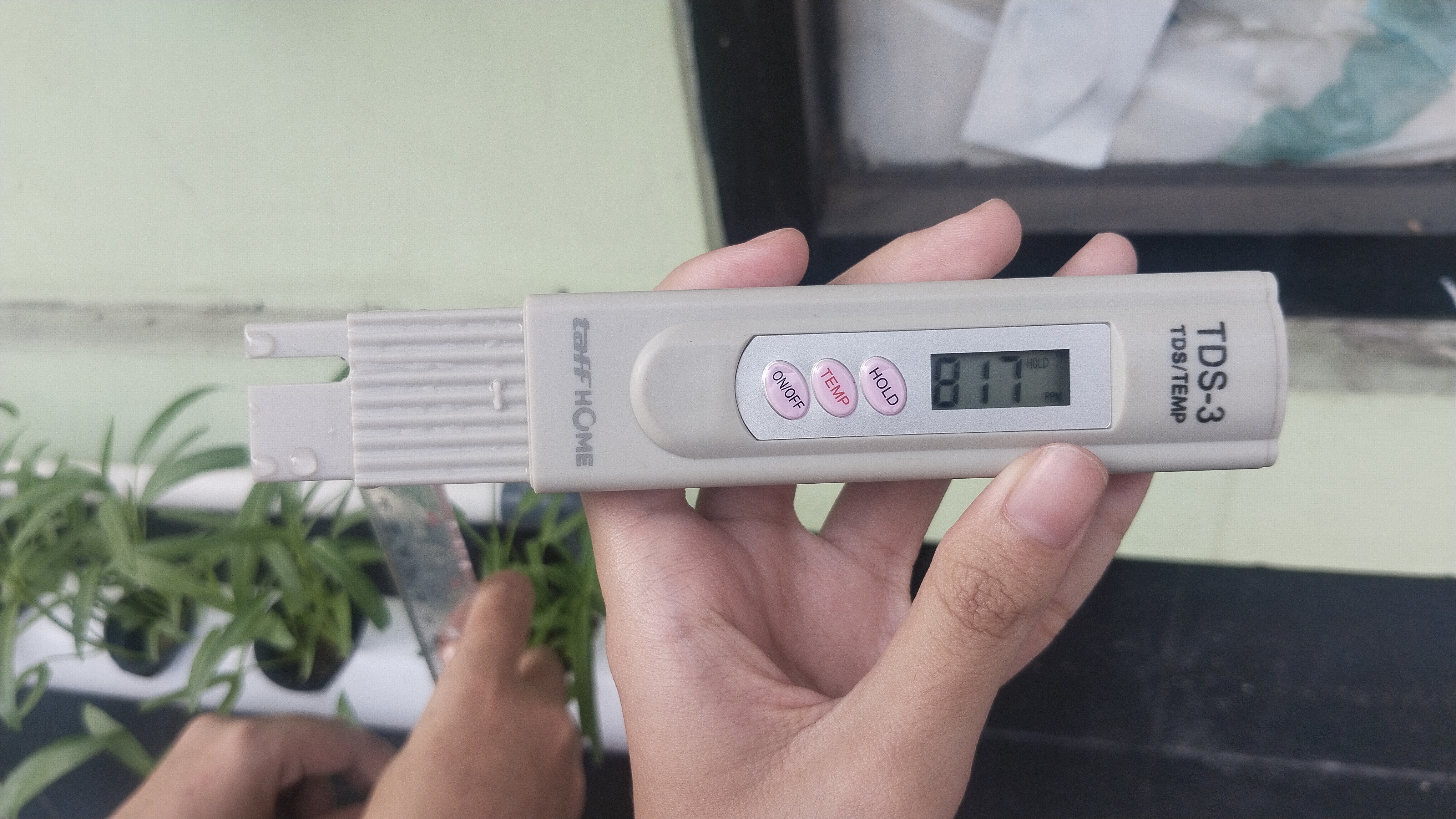 Lahan Urban Farming SMKN 20 Jakarta - Gambar 73