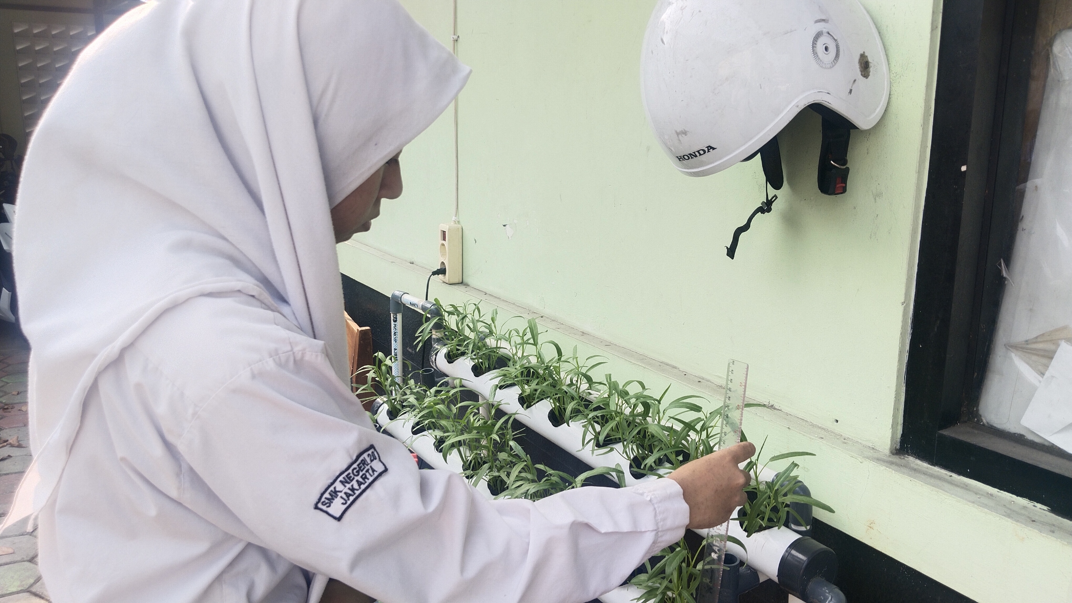 Lahan Urban Farming SMKN 20 Jakarta - Gambar 72