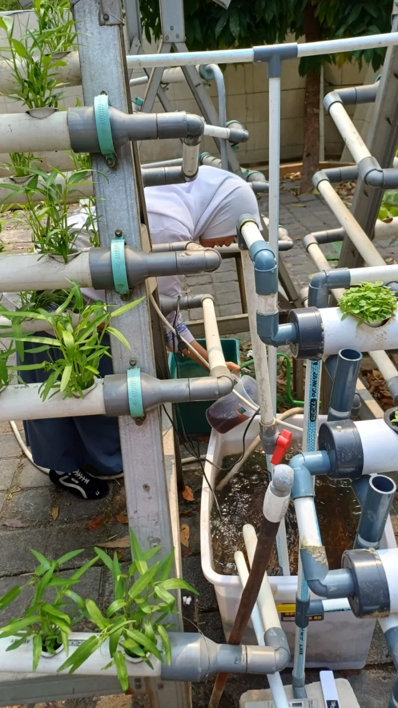 Lahan Urban Farming SMKN 59 Jakarta - Gambar 136