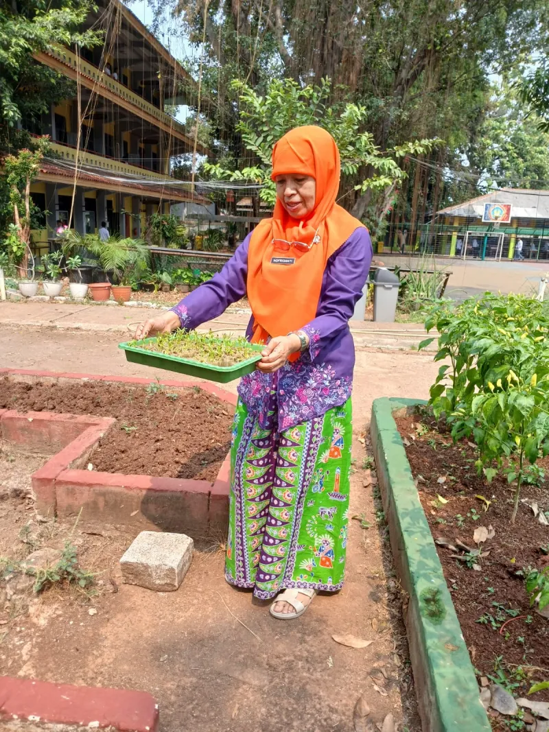 Lahan Urban Farming SMAN 109 Jakarta - Gambar 151