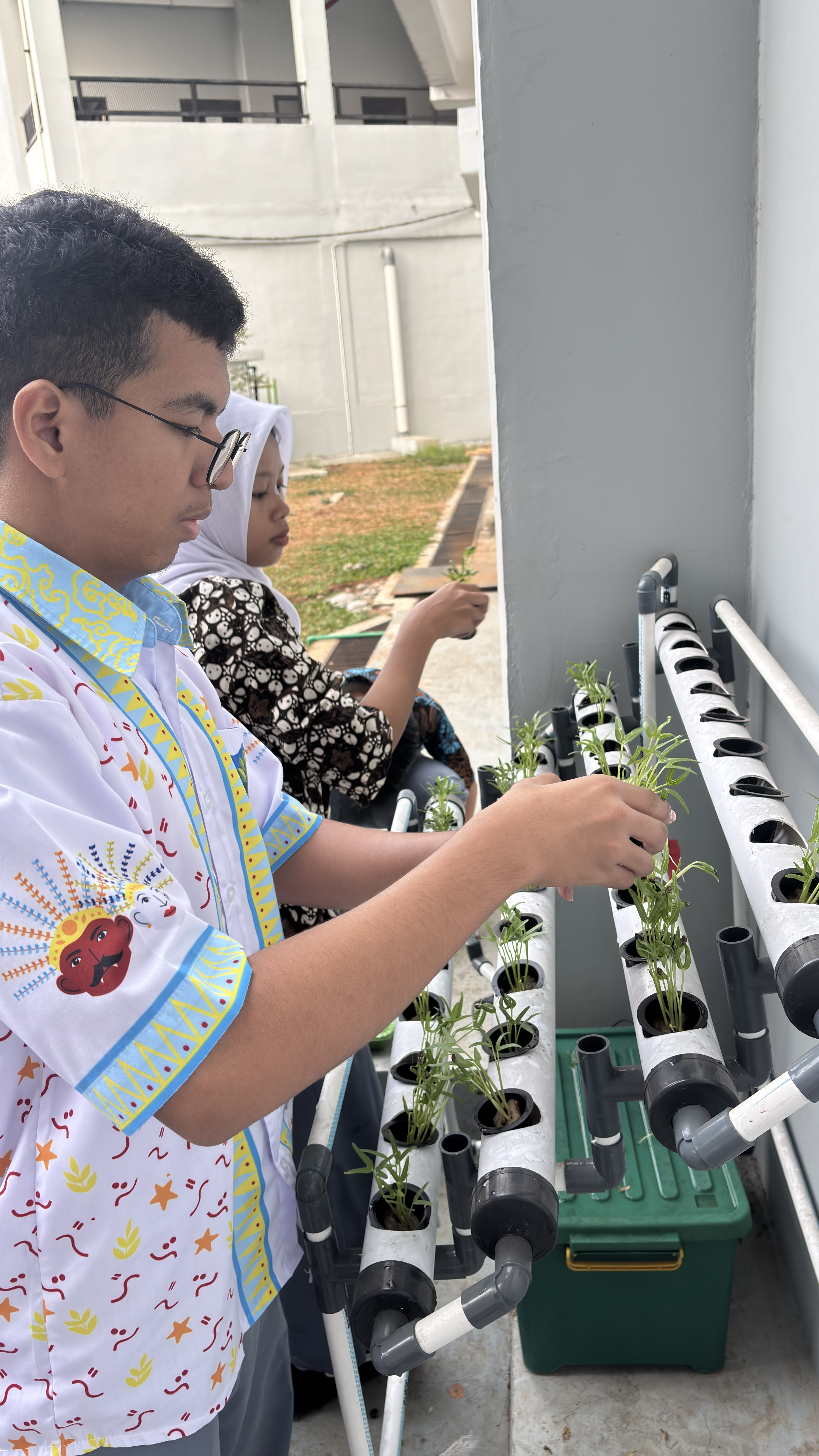 Lahan Urban Farming SMAN 116 Jakarta - Gambar 77