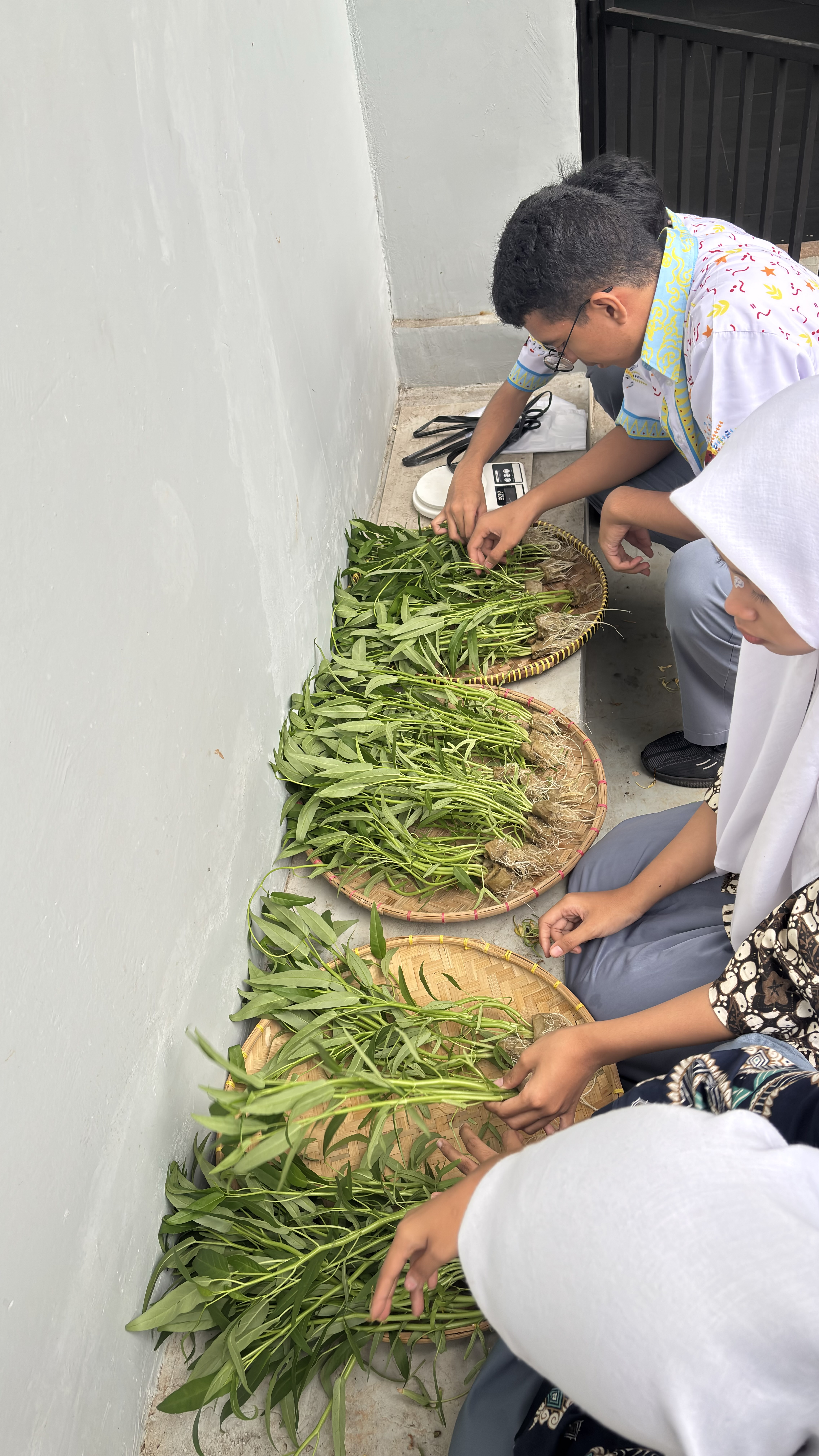 Lahan Urban Farming SMAN 116 Jakarta - Gambar 75