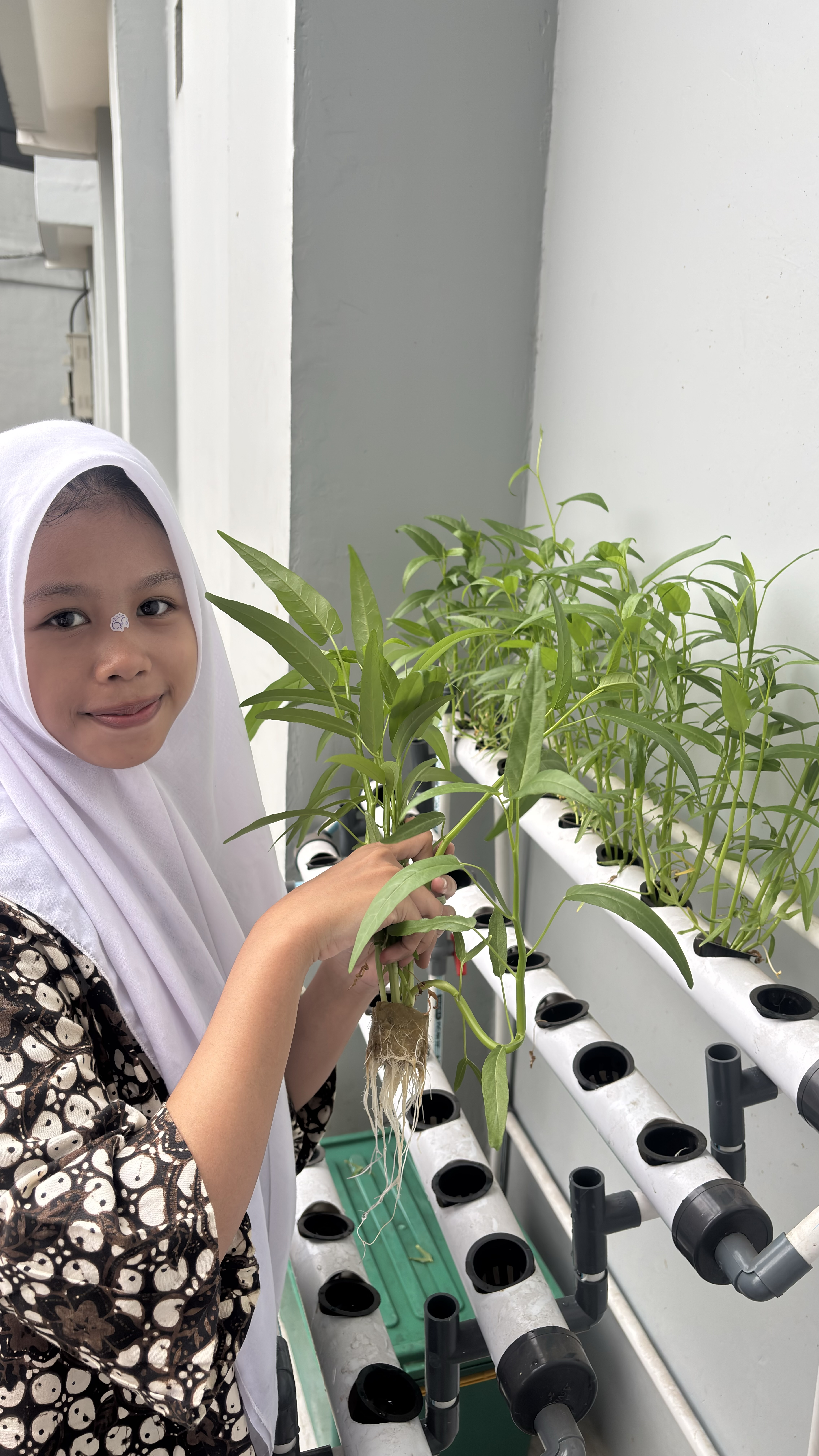 Lahan Urban Farming SMAN 116 Jakarta - Gambar 73