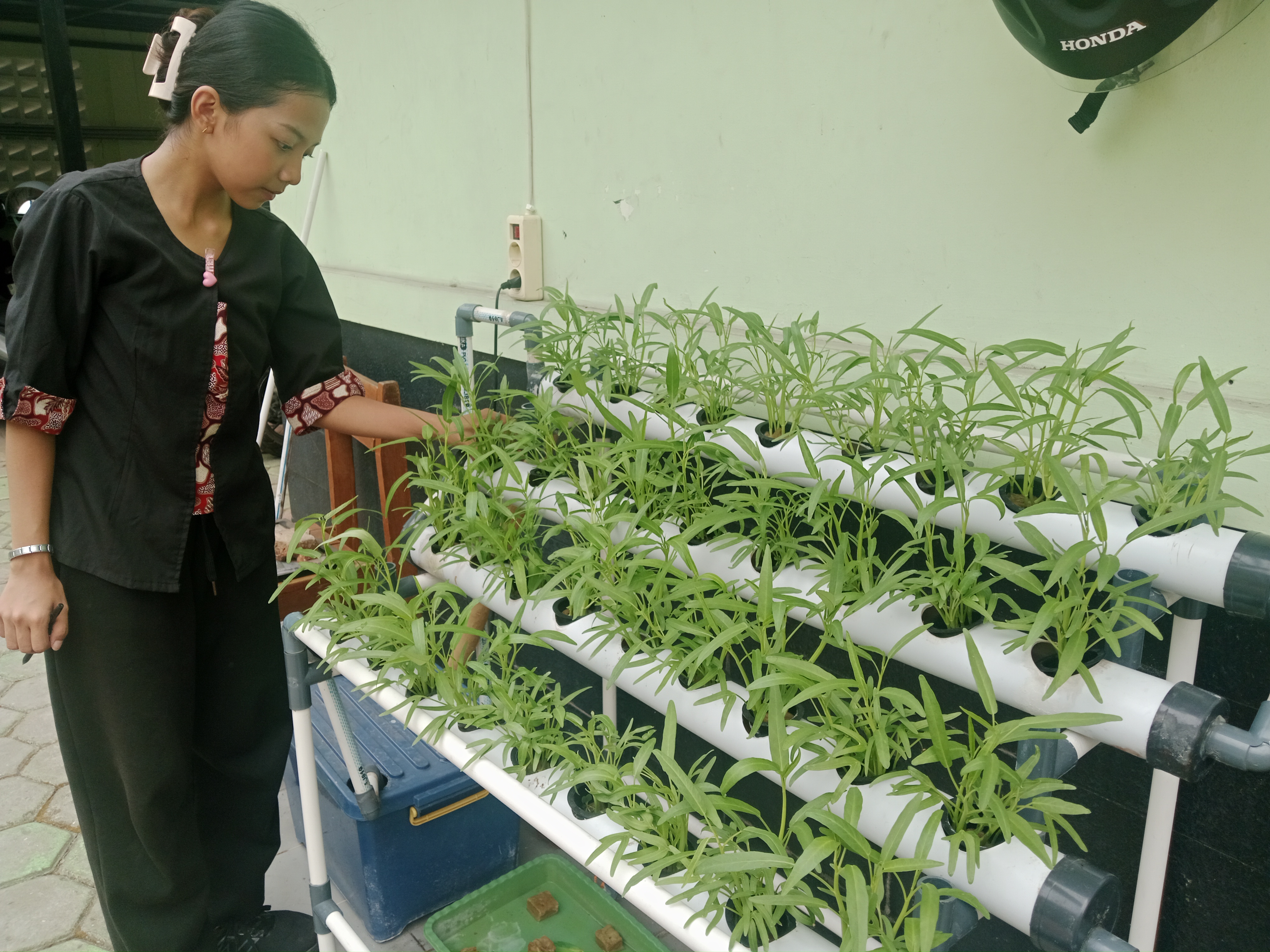 Lahan Urban Farming SMKN 20 Jakarta - Gambar 70