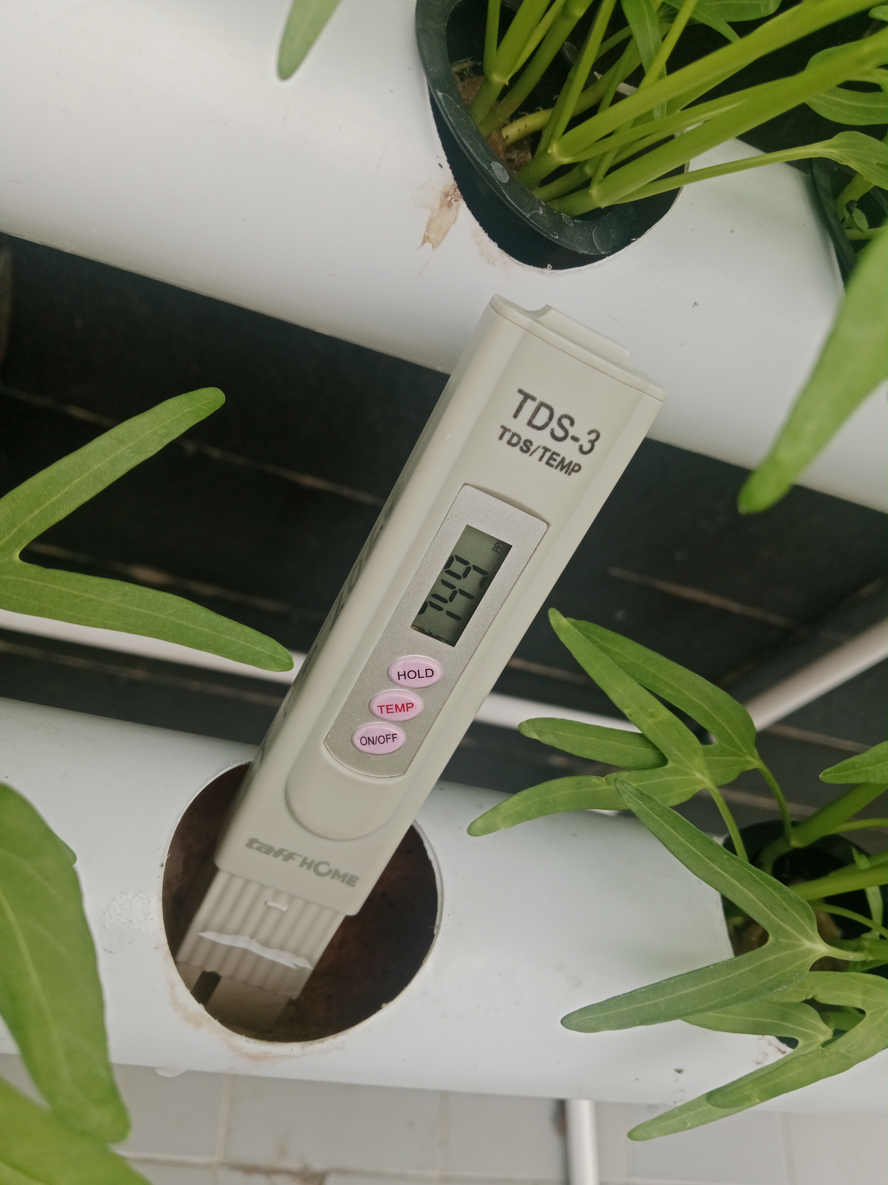 Lahan Urban Farming SMKN 20 Jakarta - Gambar 68