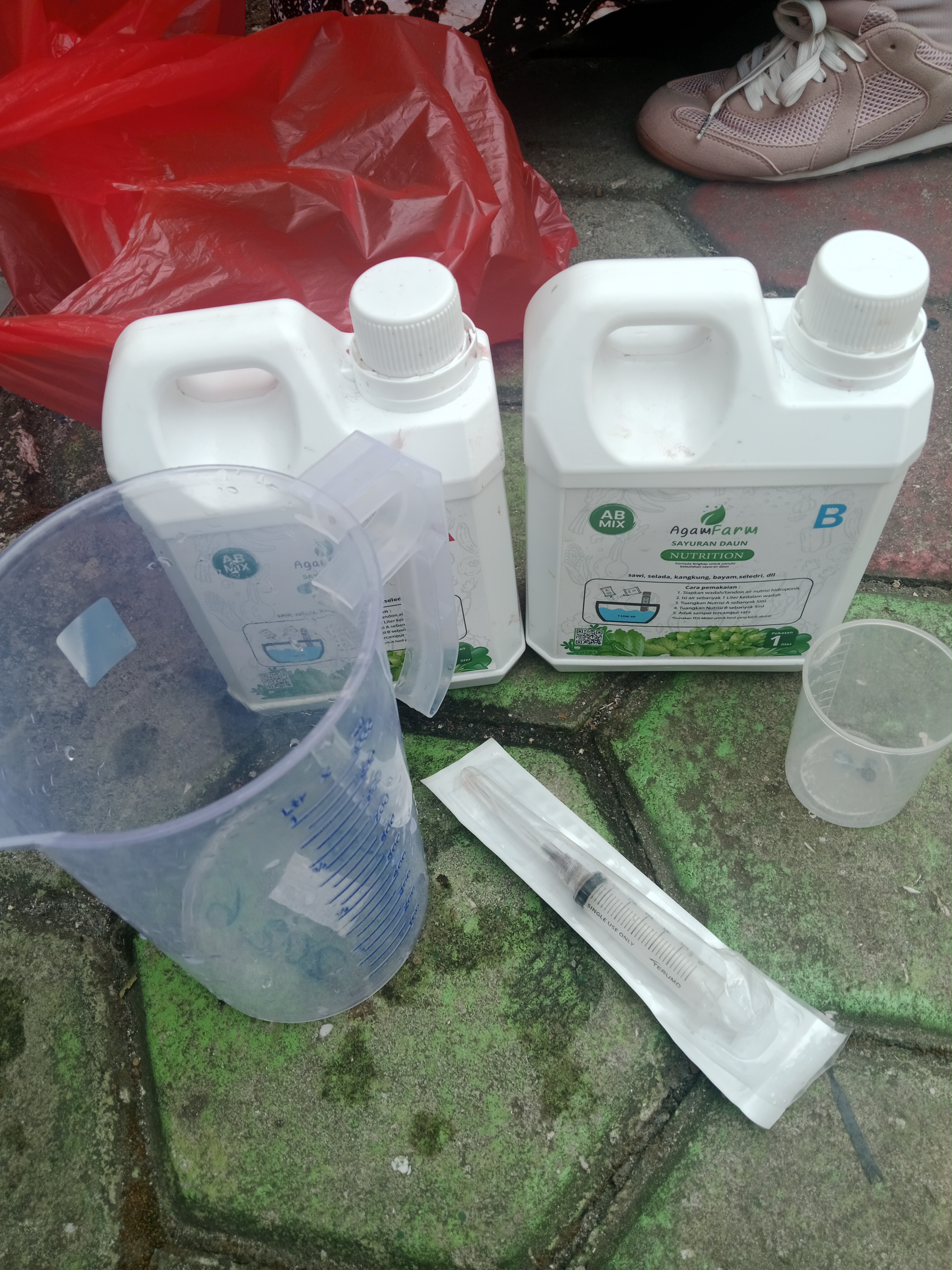 Lahan Urban Farming SMKN 20 Jakarta - Gambar 67