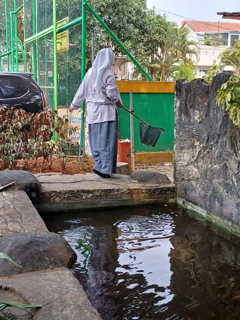 Lahan Urban Farming SMKN 59 Jakarta - Gambar 134
