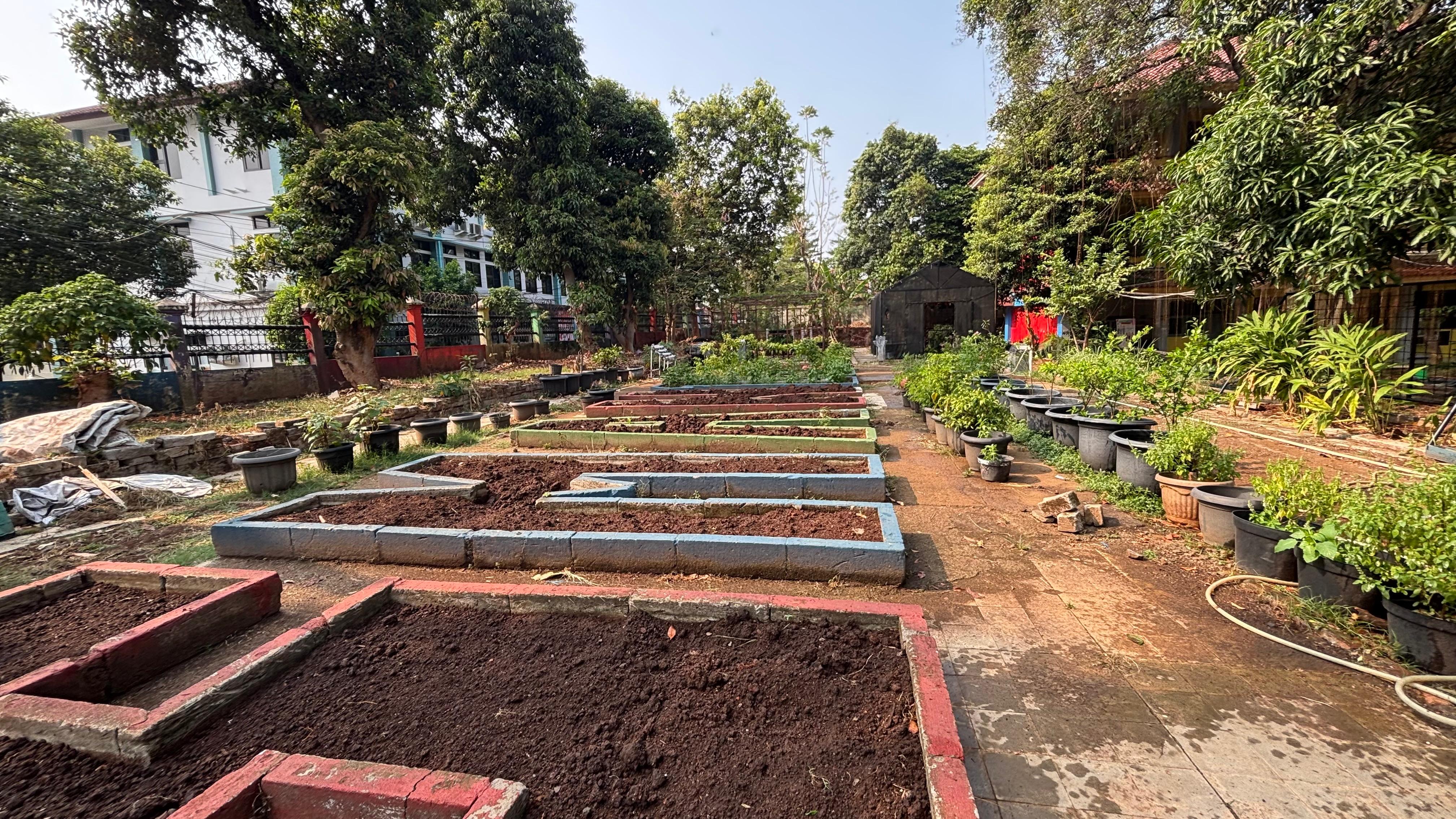 Lahan Urban Farming SMAN 109 Jakarta - Gambar 148