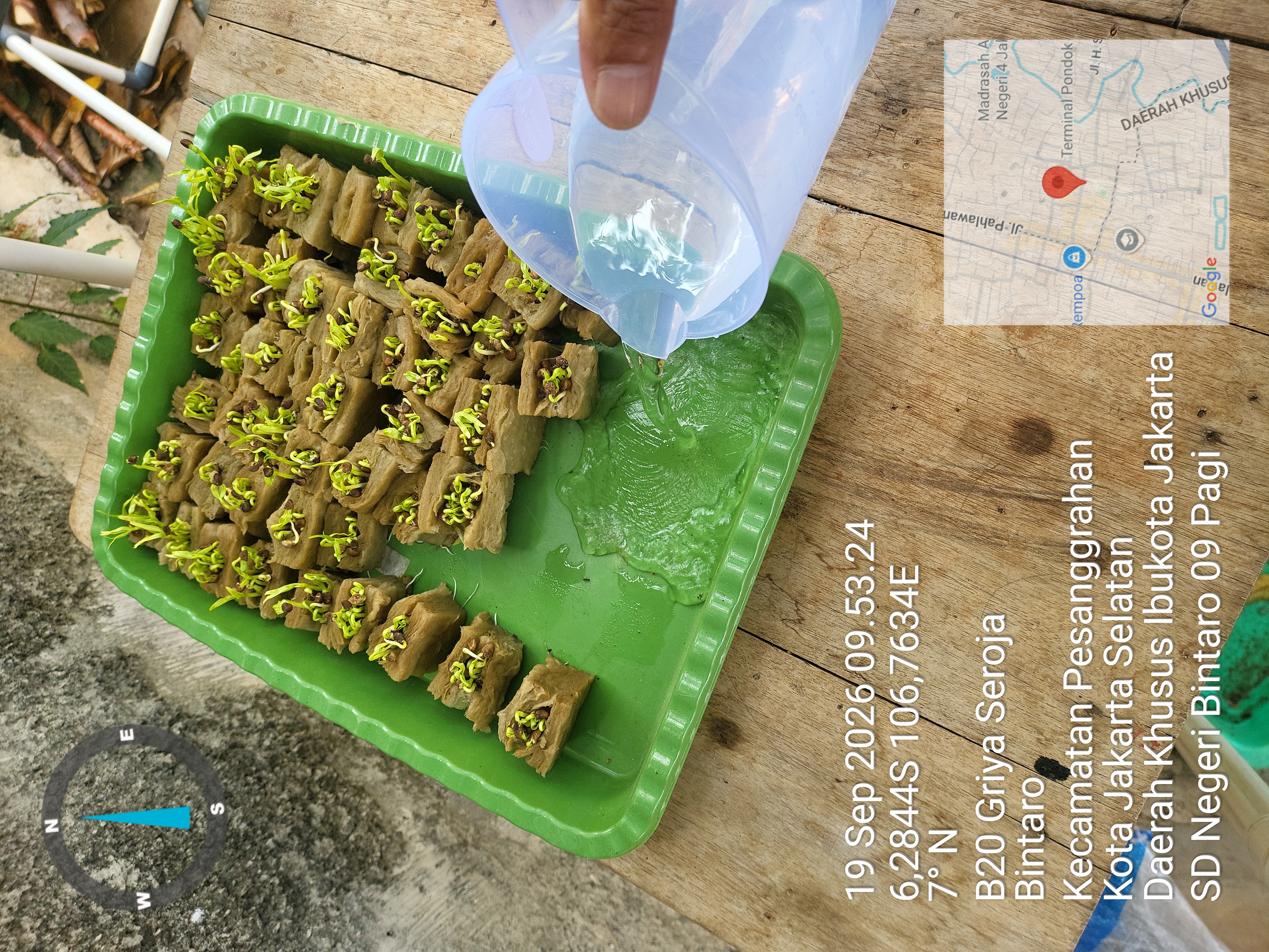 Lahan Urban Farming SDN Bintaro 09 - Gambar 93