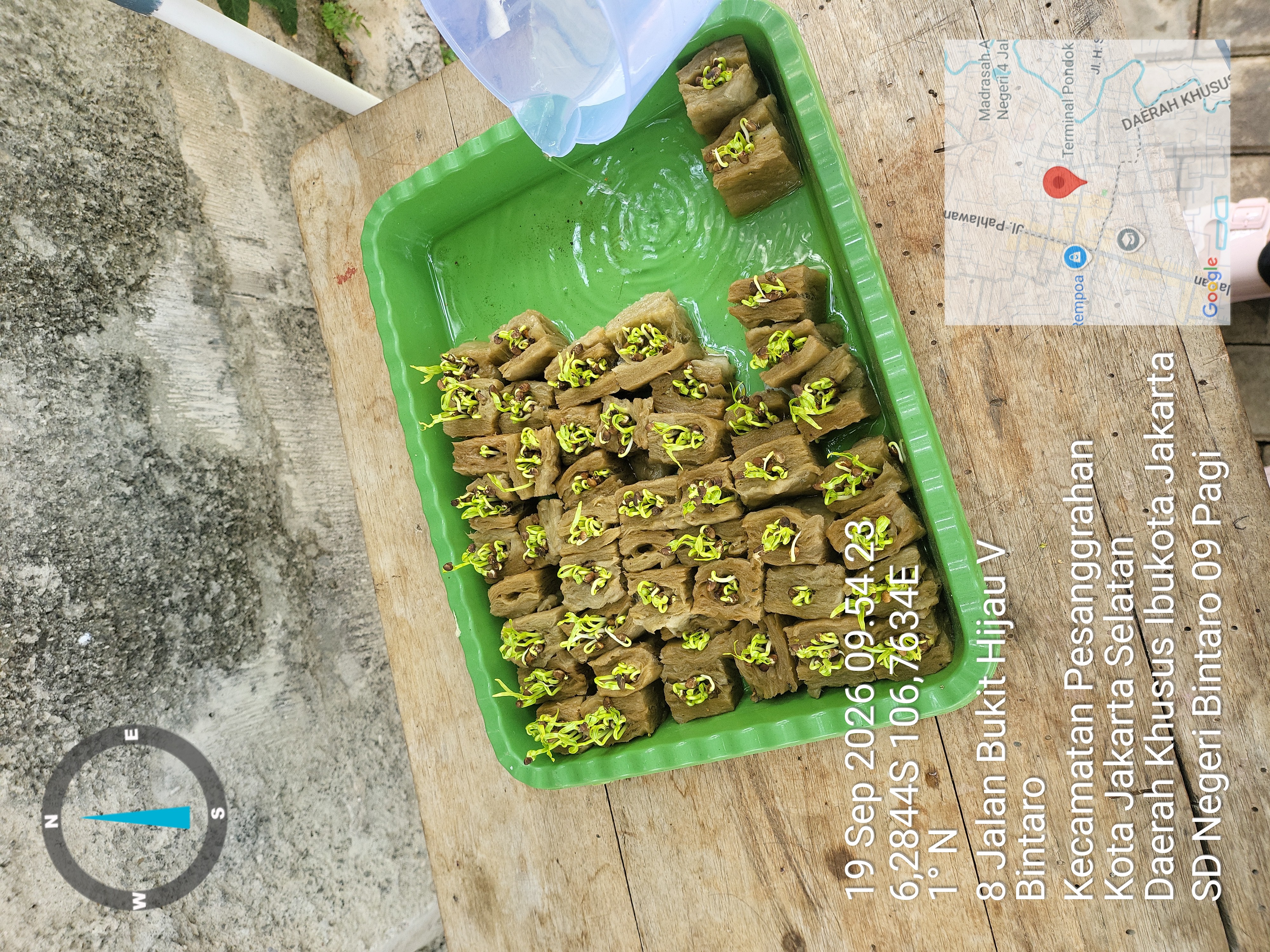 Lahan Urban Farming SDN Bintaro 09 - Gambar 92