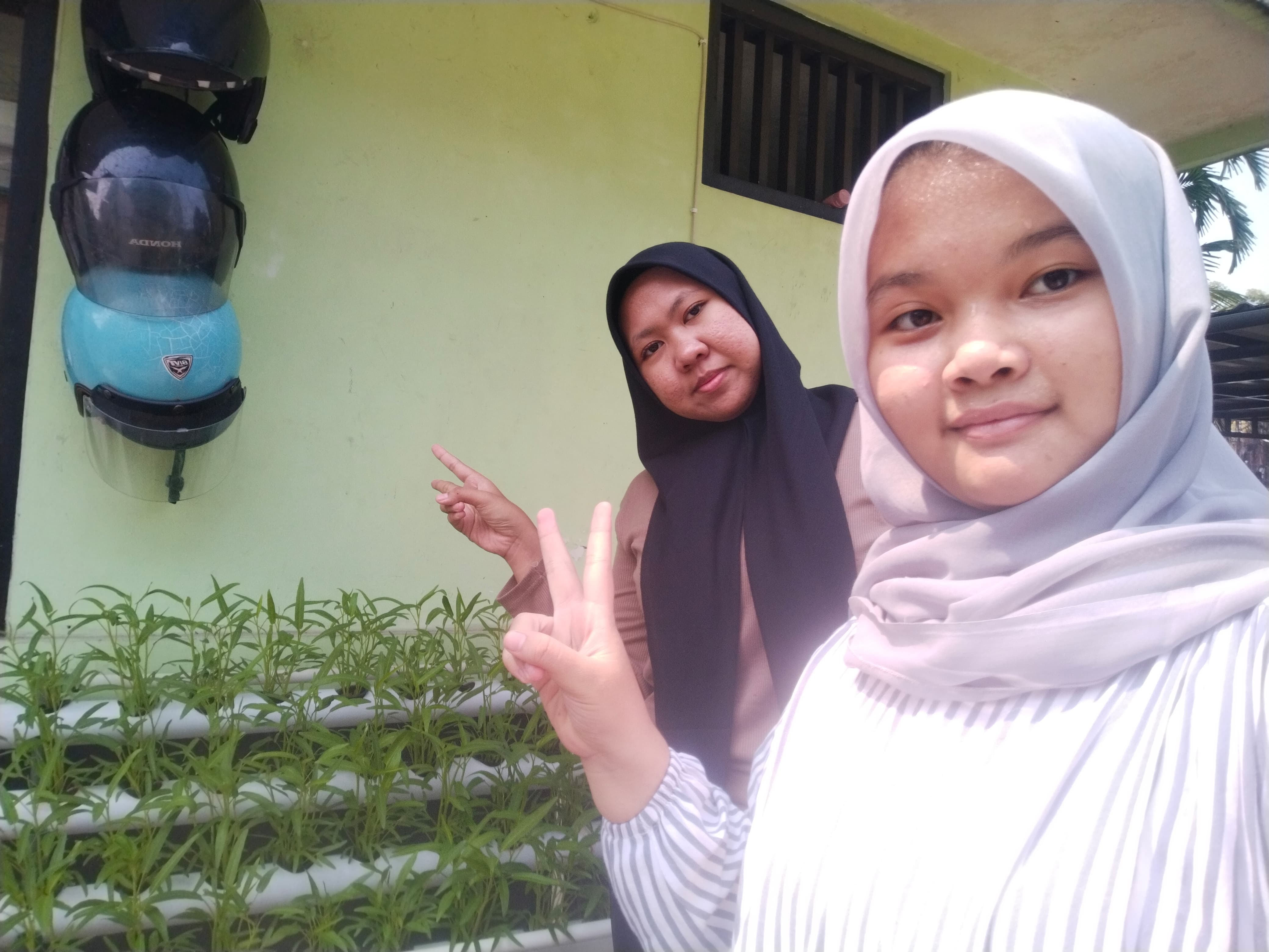 Lahan Urban Farming SMKN 20 Jakarta - Gambar 64