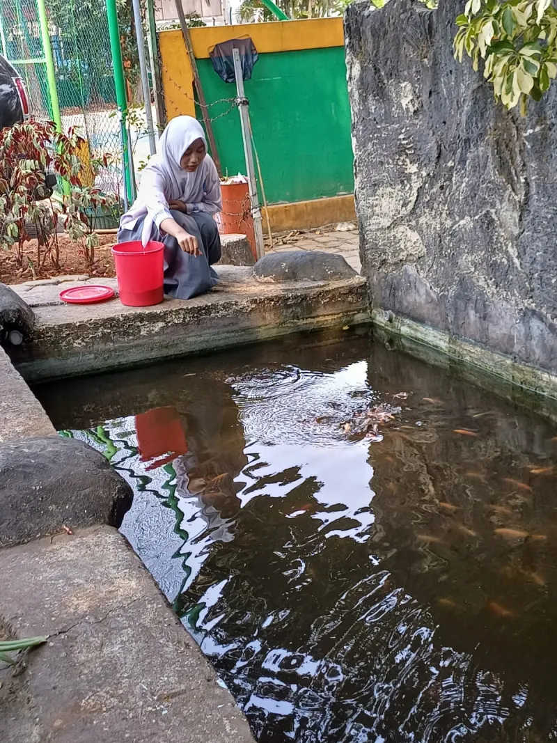 Lahan Urban Farming SMKN 59 Jakarta - Gambar 132