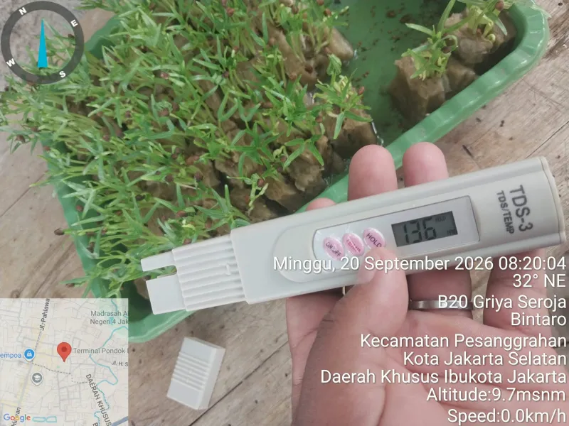 Lahan Urban Farming SDN Bintaro 09 - Gambar 91