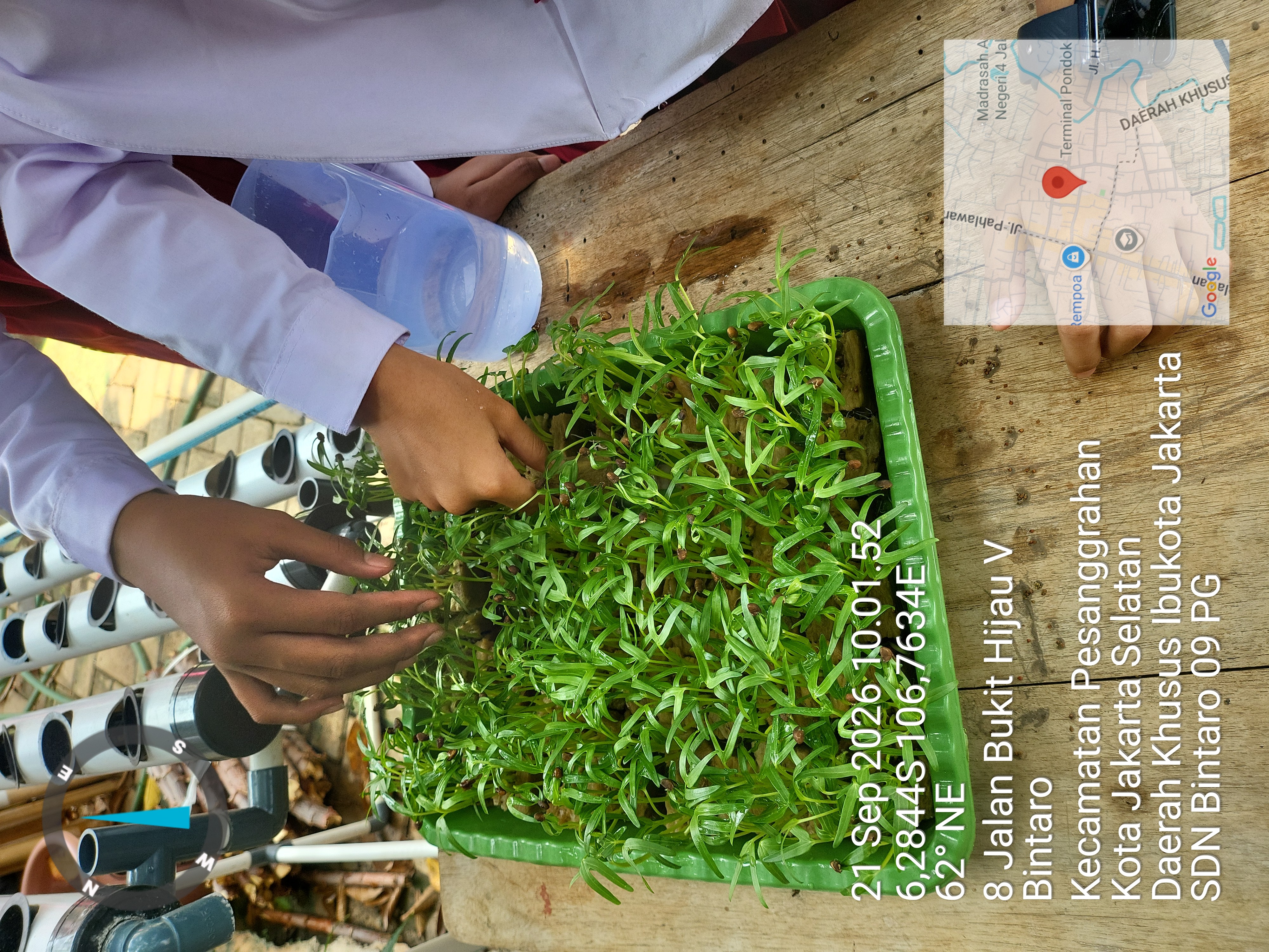 Lahan Urban Farming SDN Bintaro 09 - Gambar 88